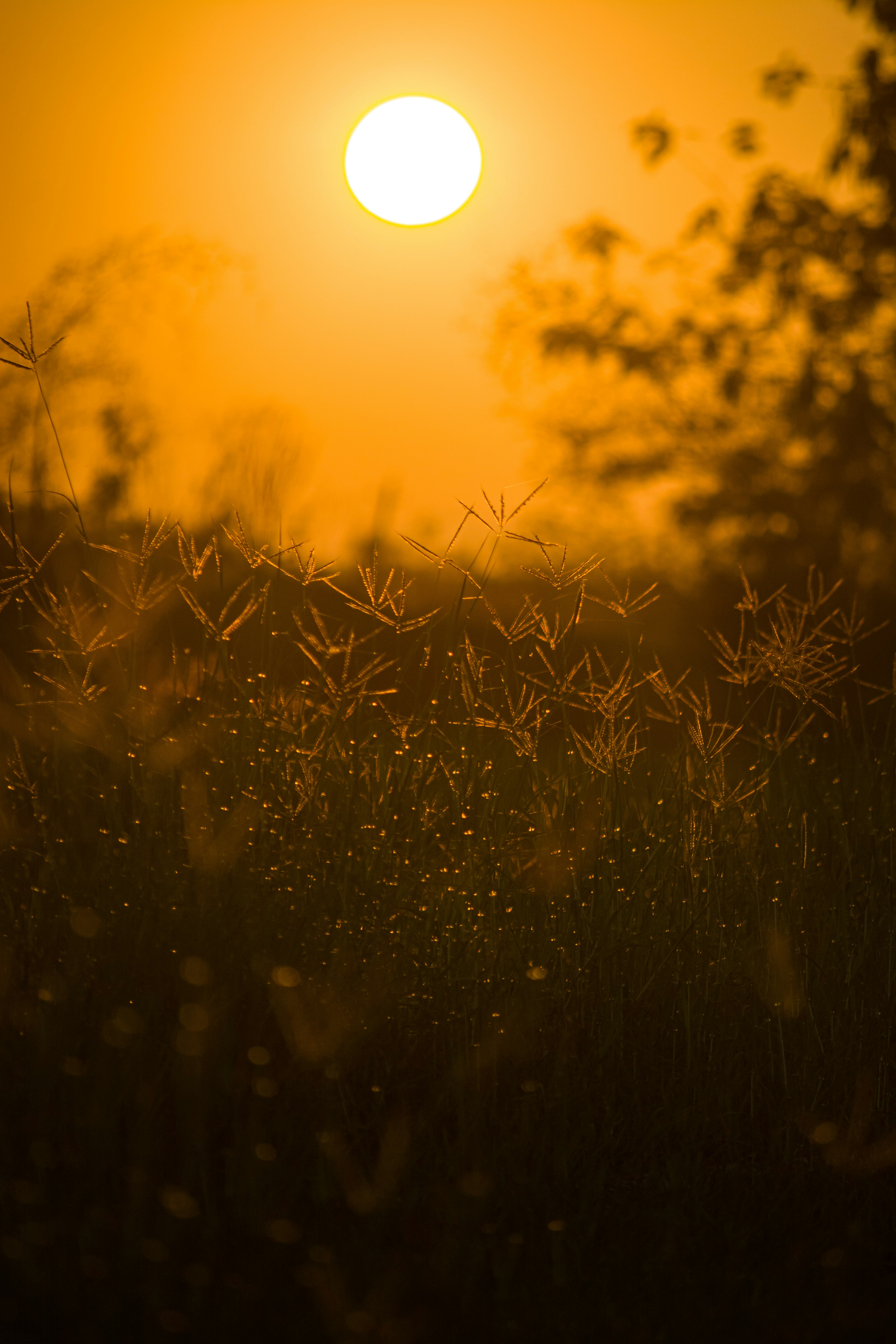 Photo by prasanthcaptures