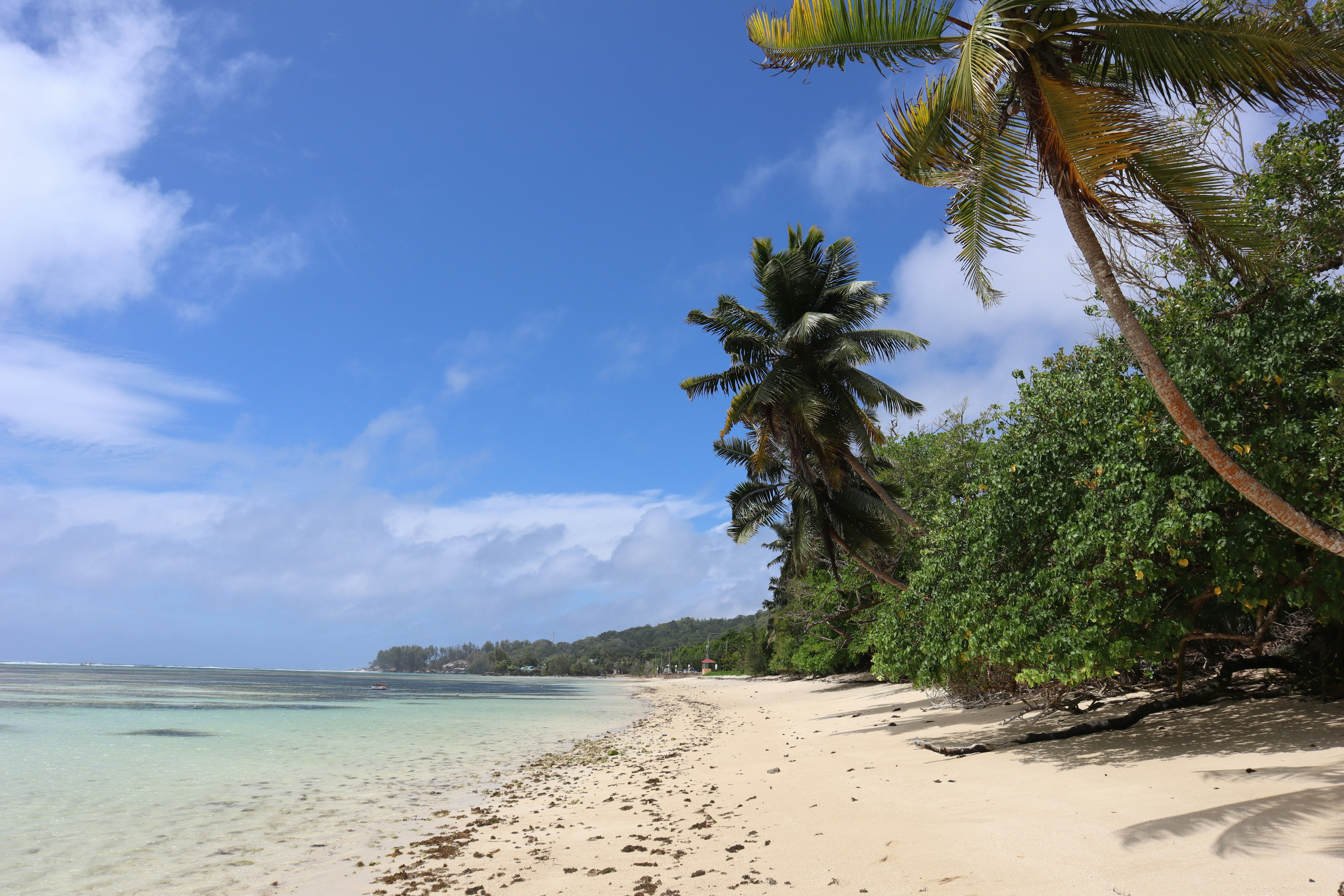 Photo by bram_wouters