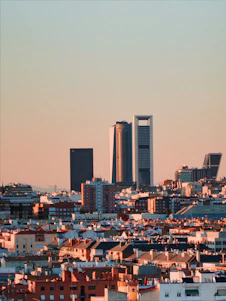 City skyline with modern skyscrapers at sunset