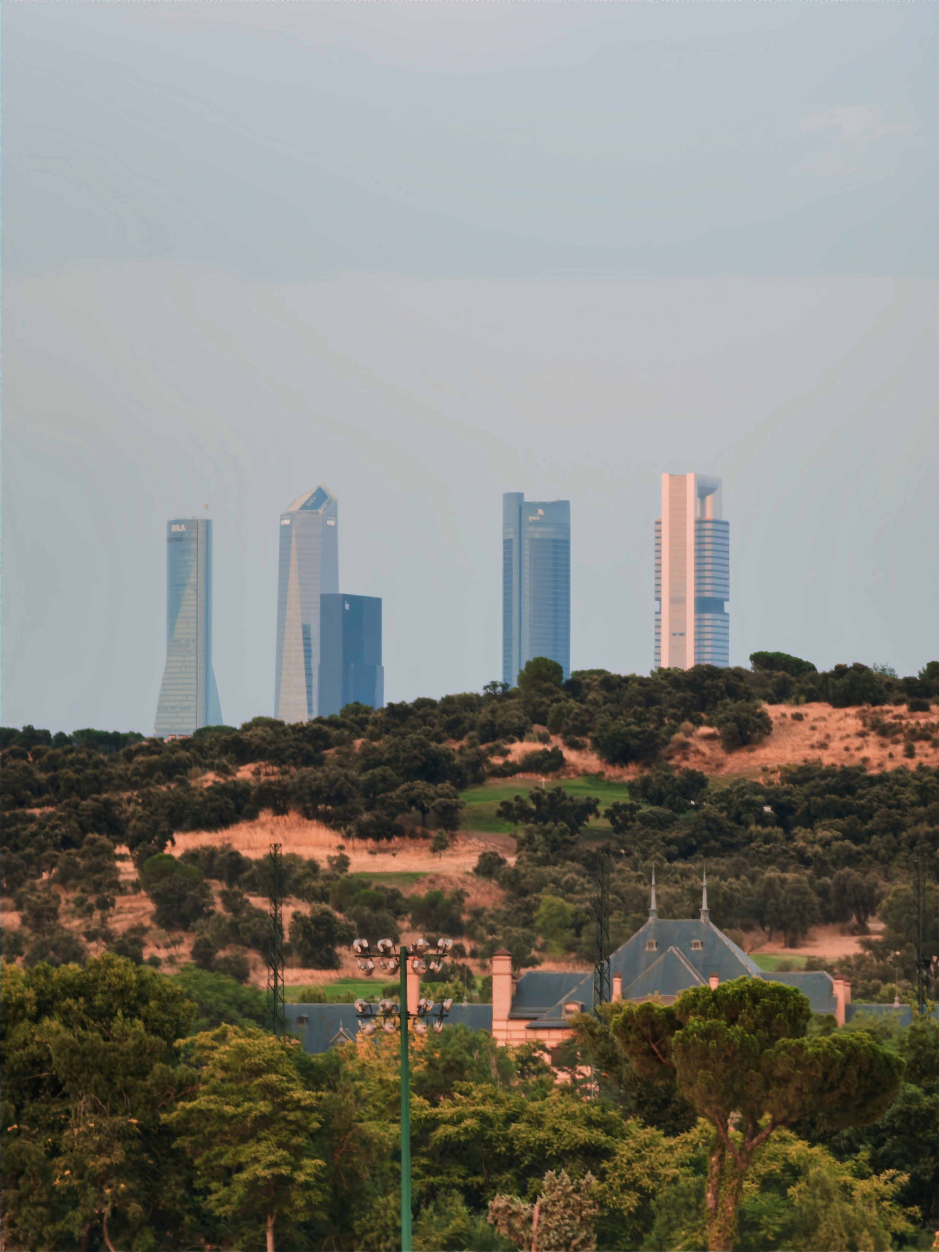 Modern skyscrapers rise above a tree-covered hill.
