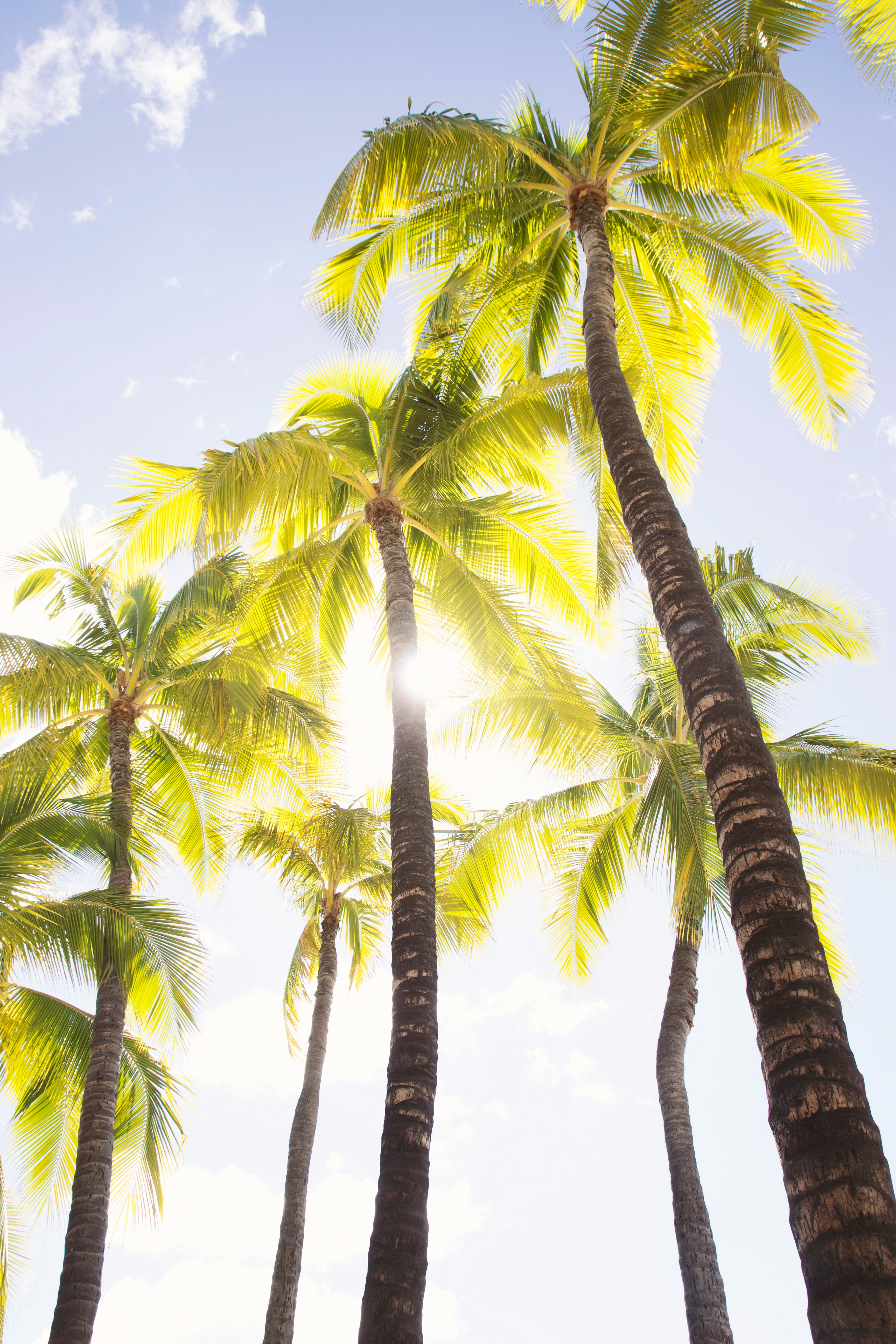 Photo by beyondxphotography