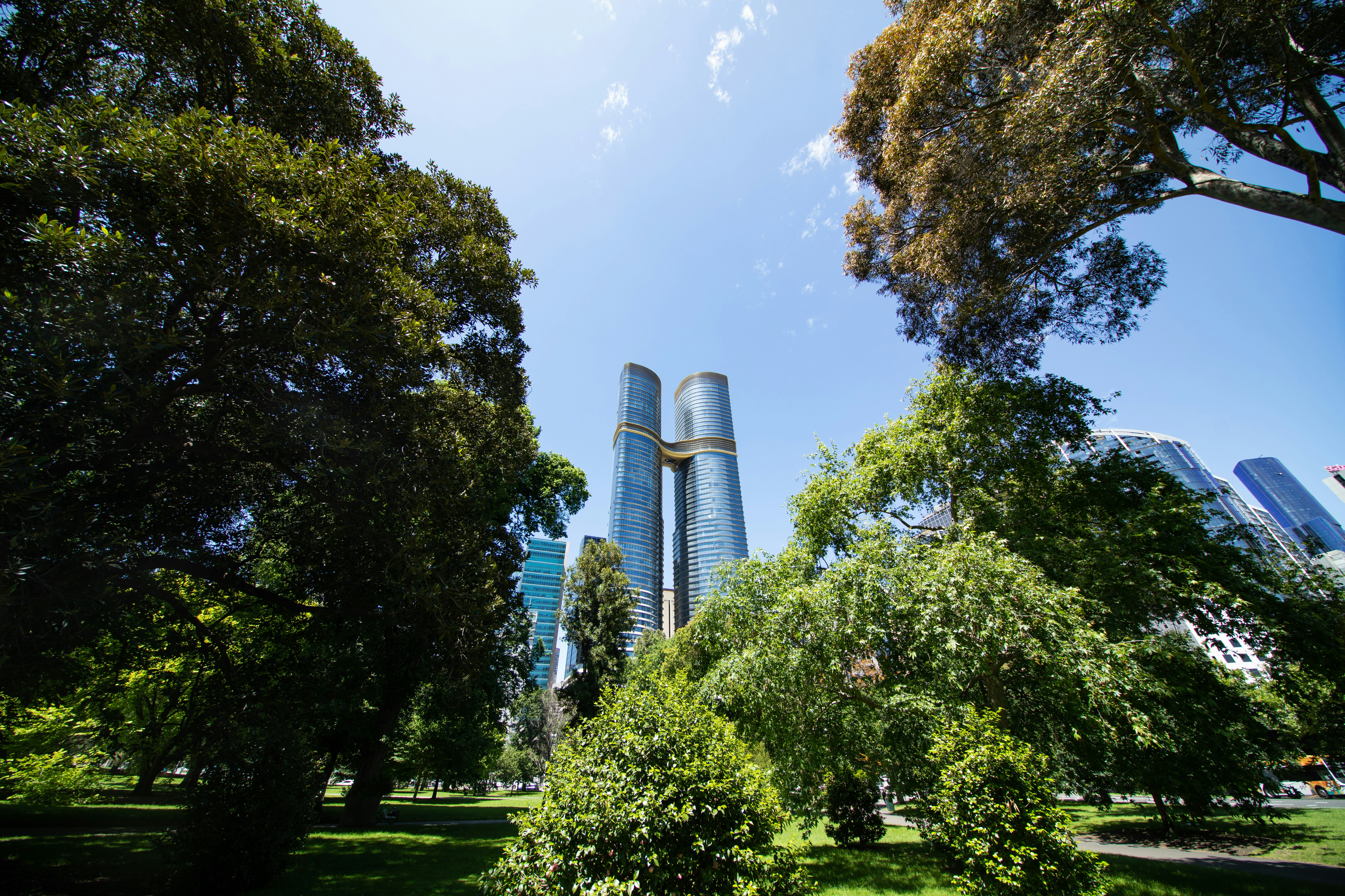 Modern skyscrapers viewed through lush green trees