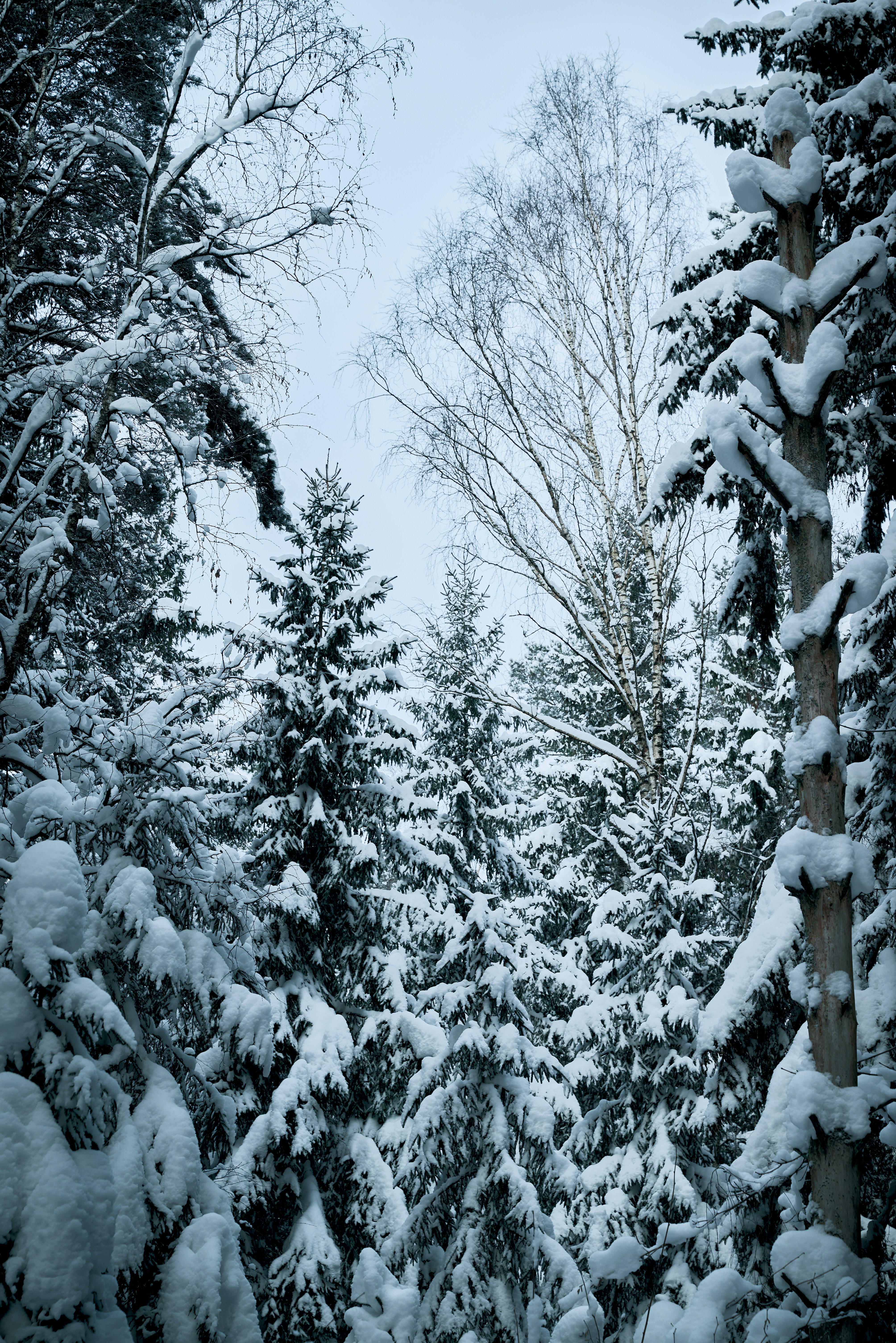 Photo by _devslashnull_