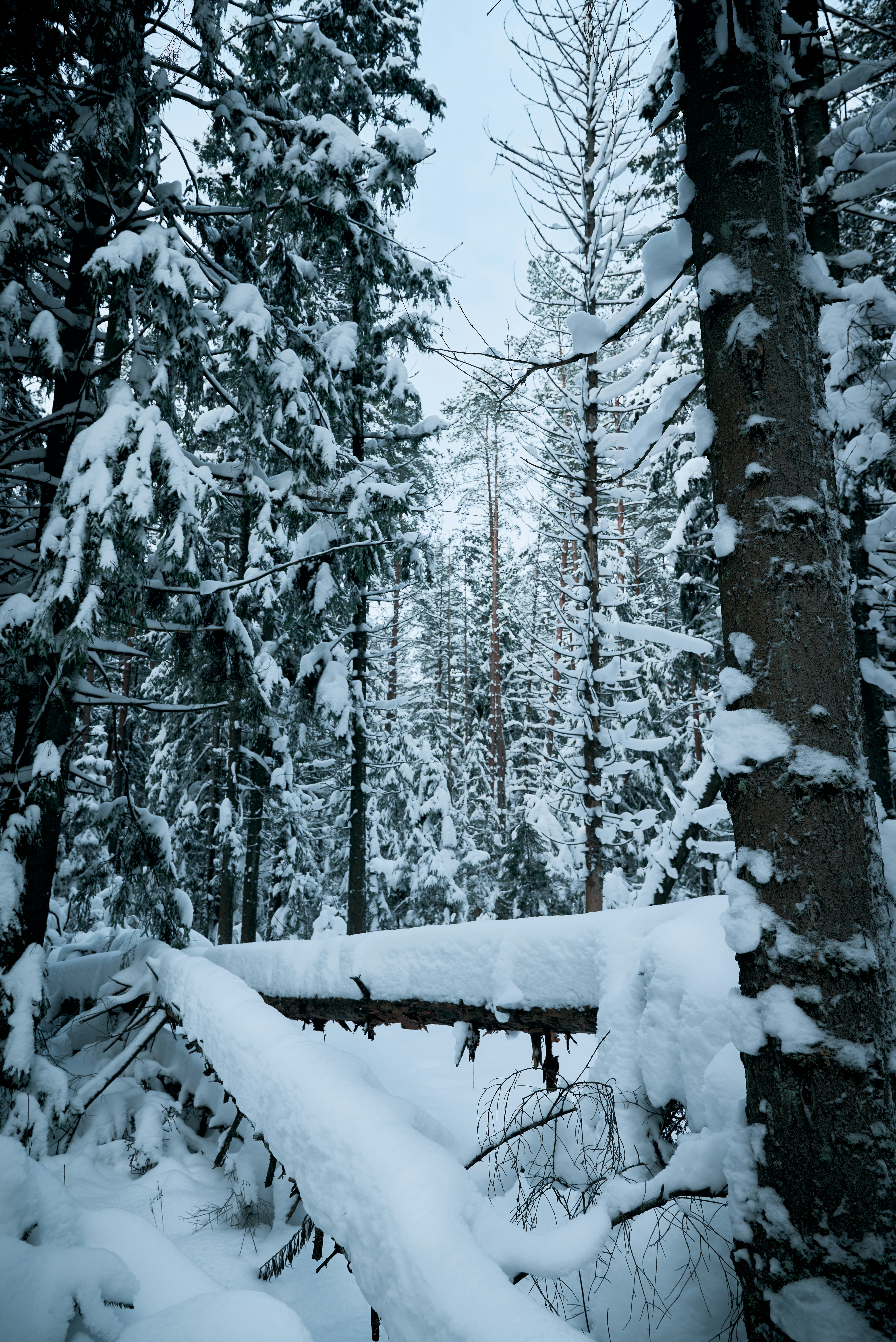 Photo by _devslashnull_