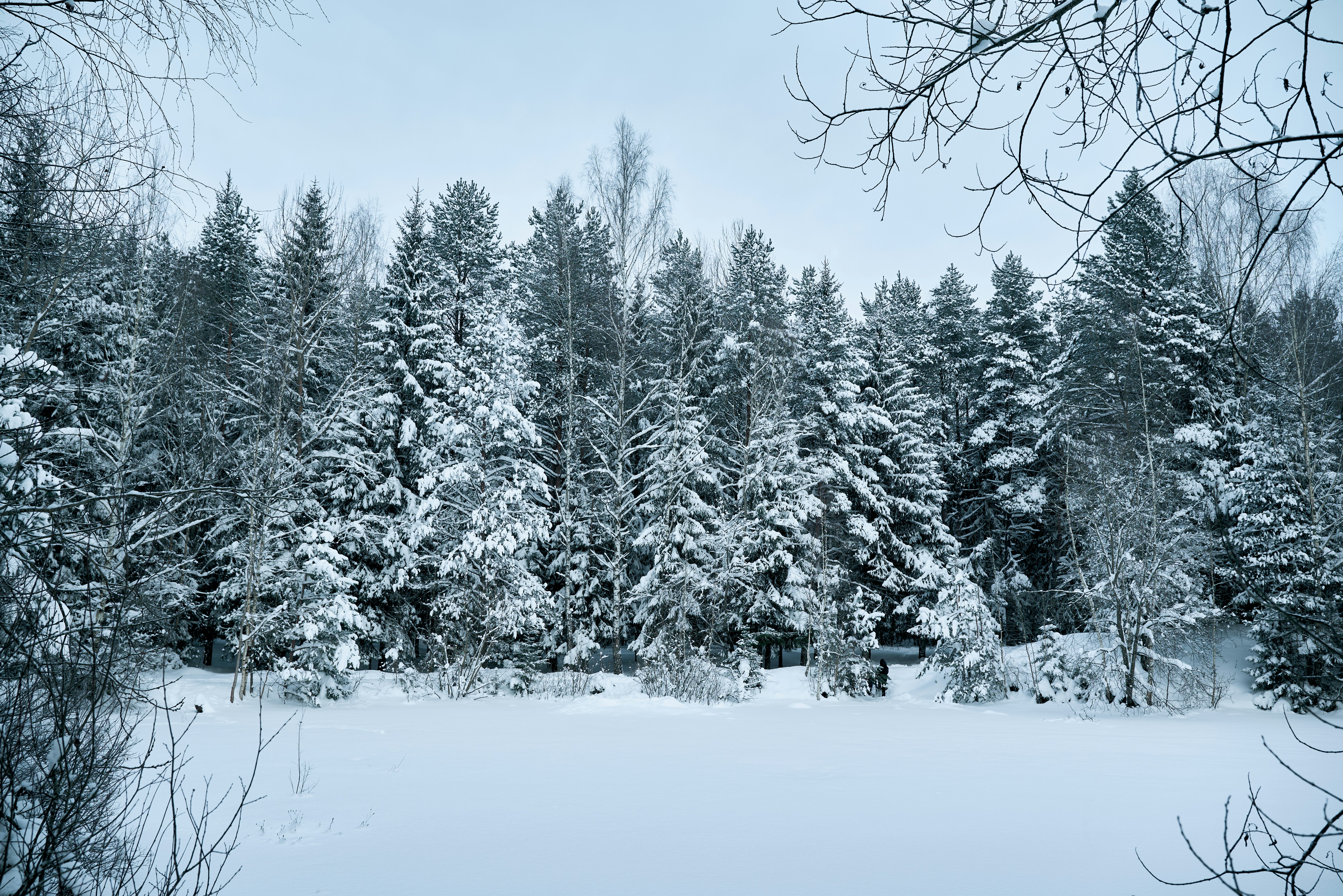 Photo by _devslashnull_