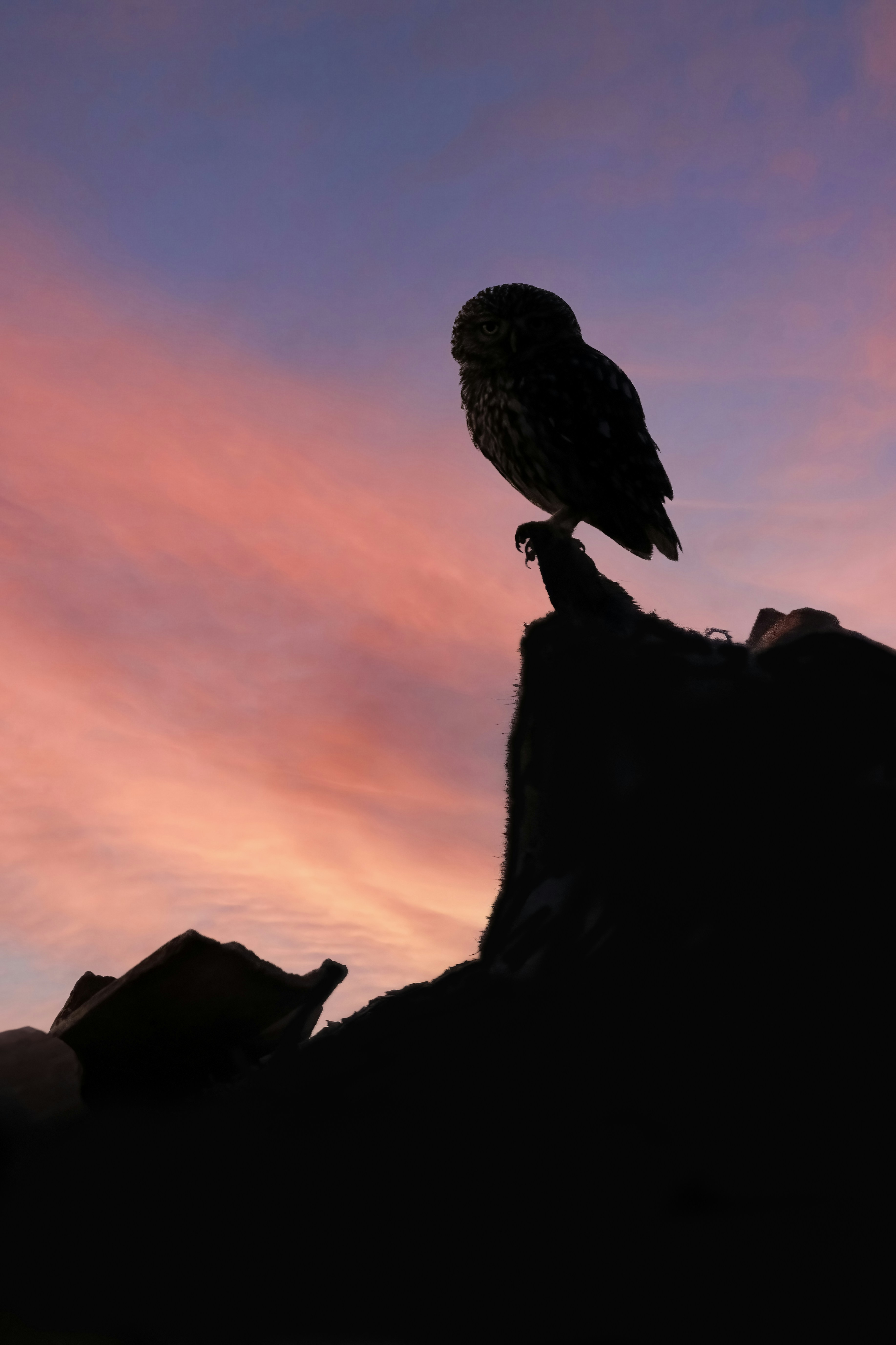 Photo by marketingdpi