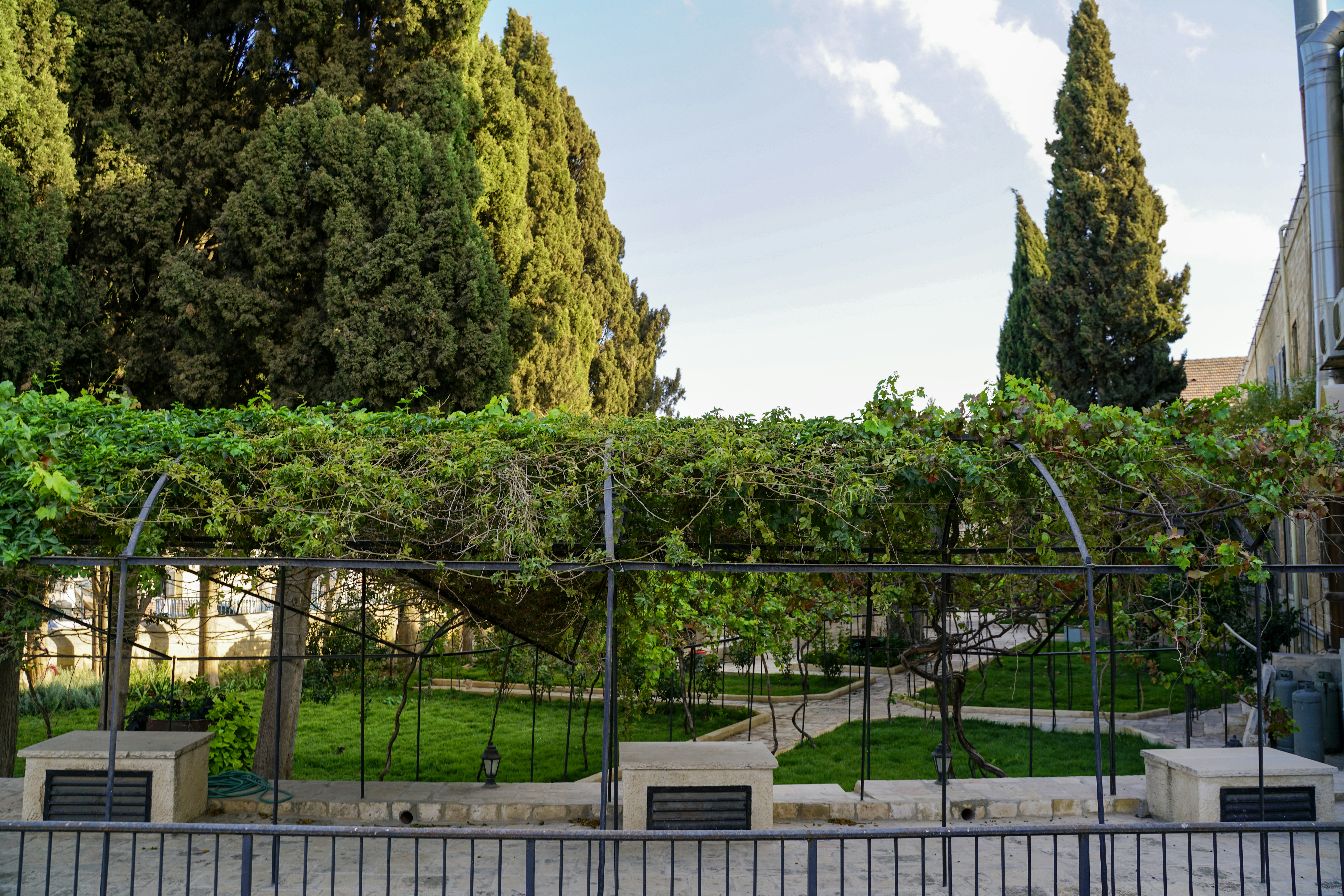 Jerusalem attractions: Stroll Through the Jerusalem Botanical Gardens