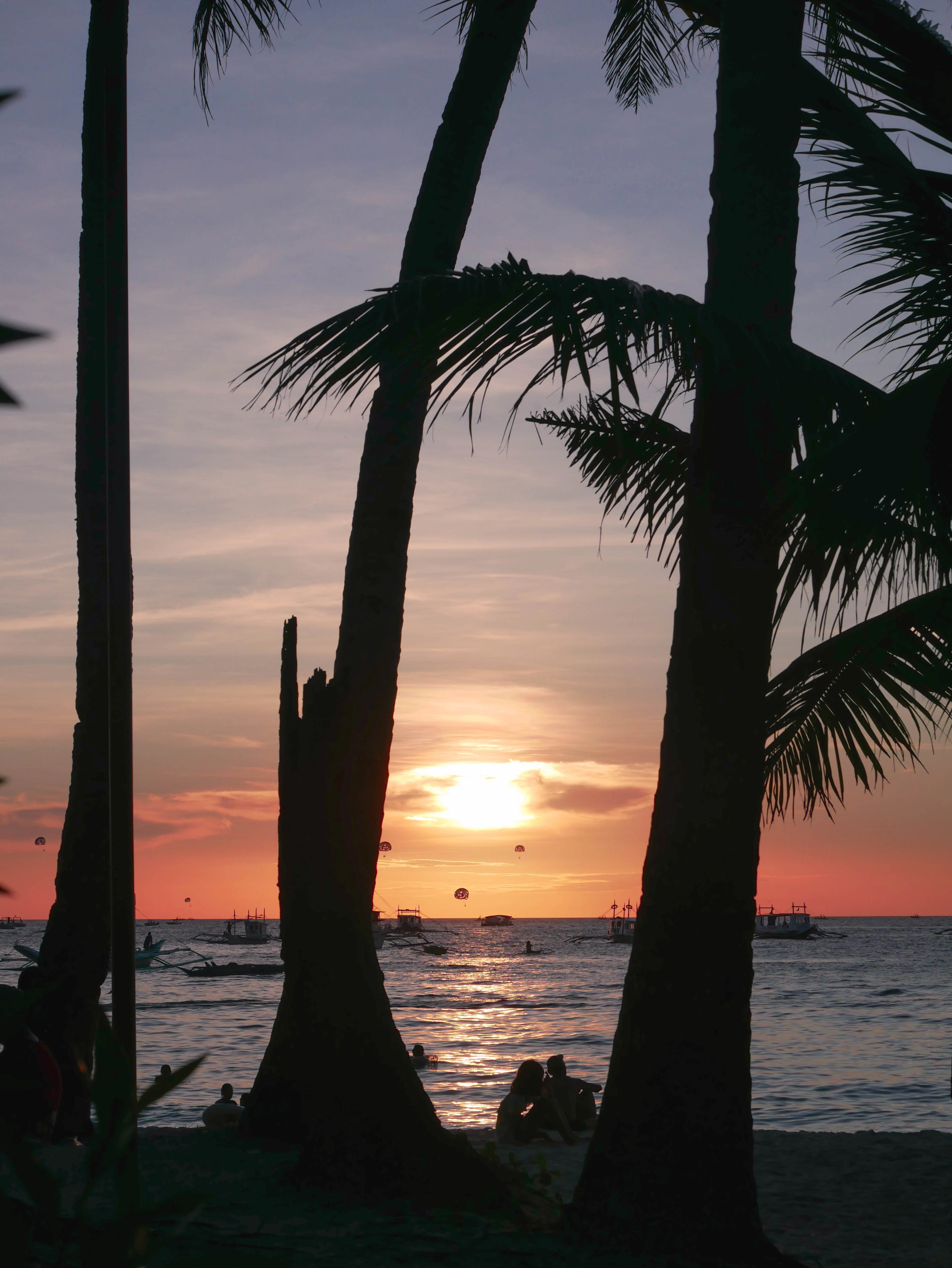 Coconut palms silhouetted against a tropical Kerala sunset
