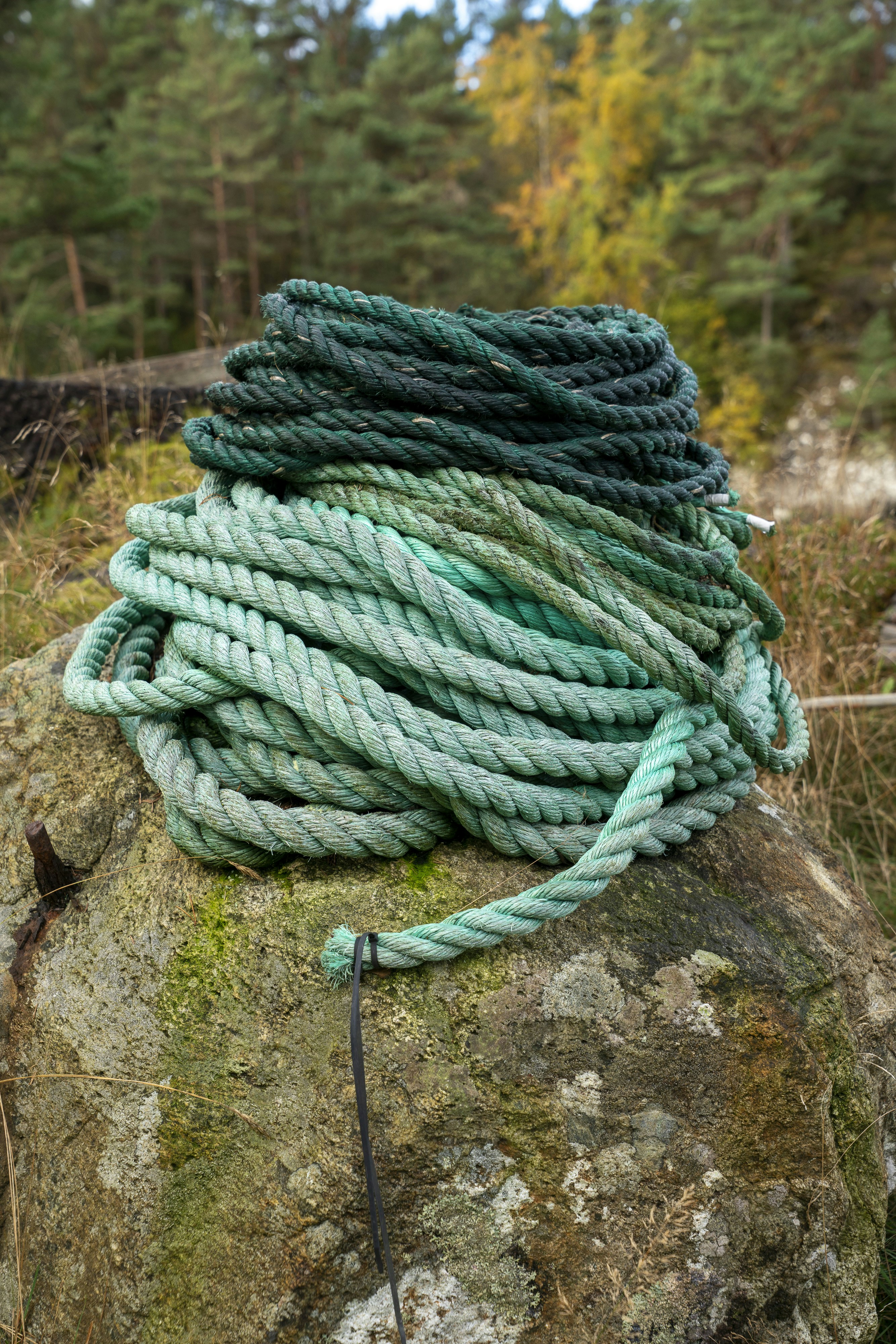 Coiled green rope rests on a mossy rock