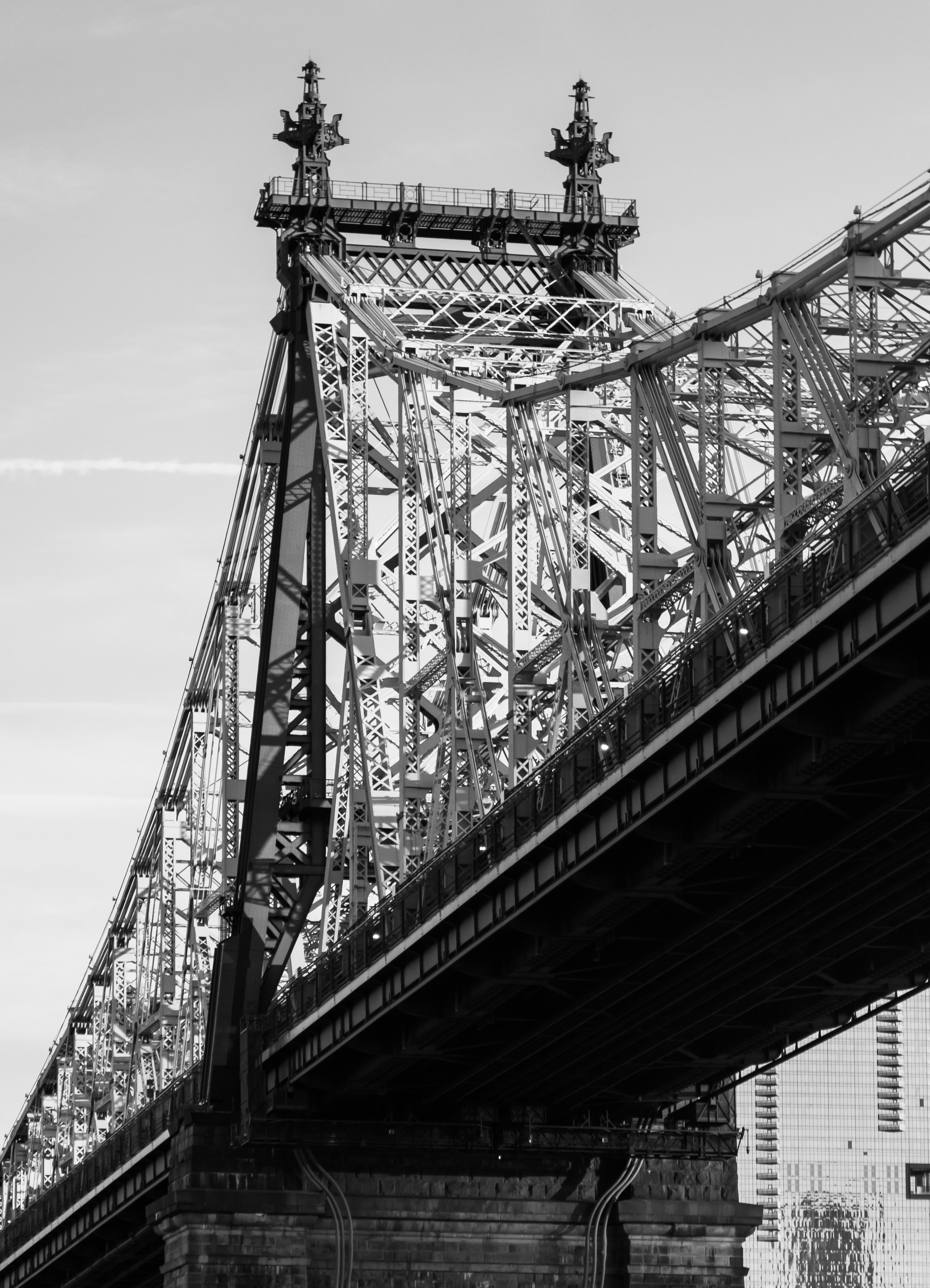 Photo by zoshuacolah