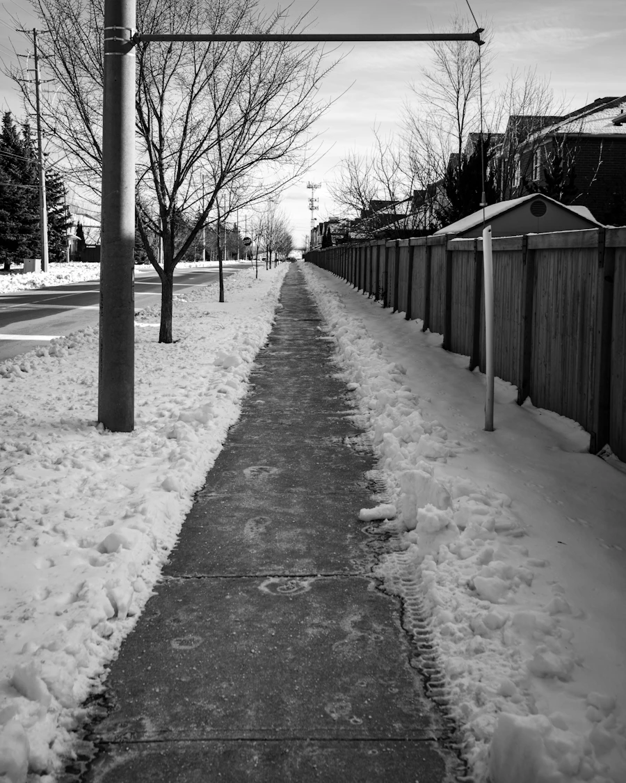 Shoveled sidewalk path cleared alongside a snowy fence line