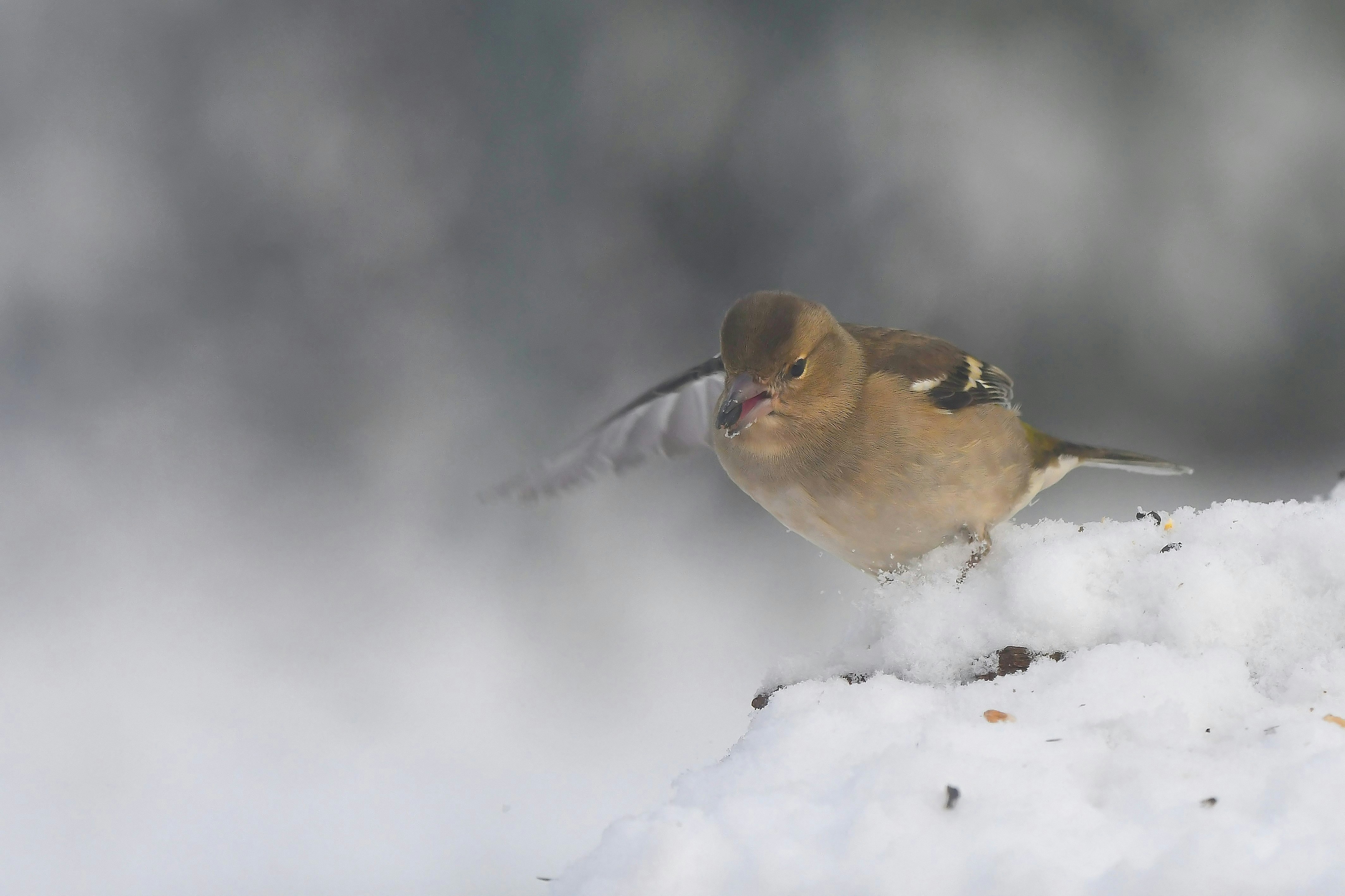 Photo by geraldine86170