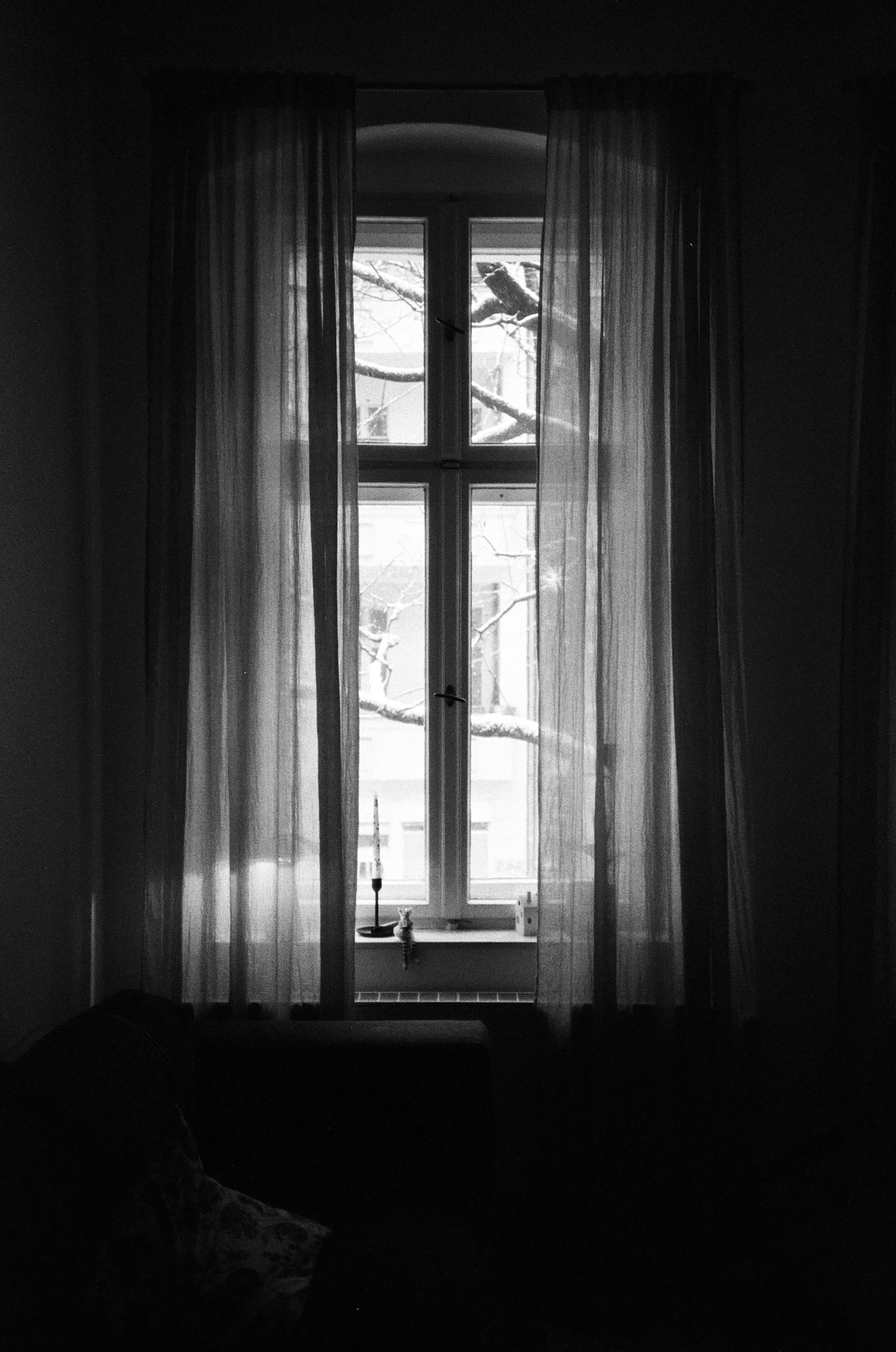 A window with sheer curtains and bare branches outside.