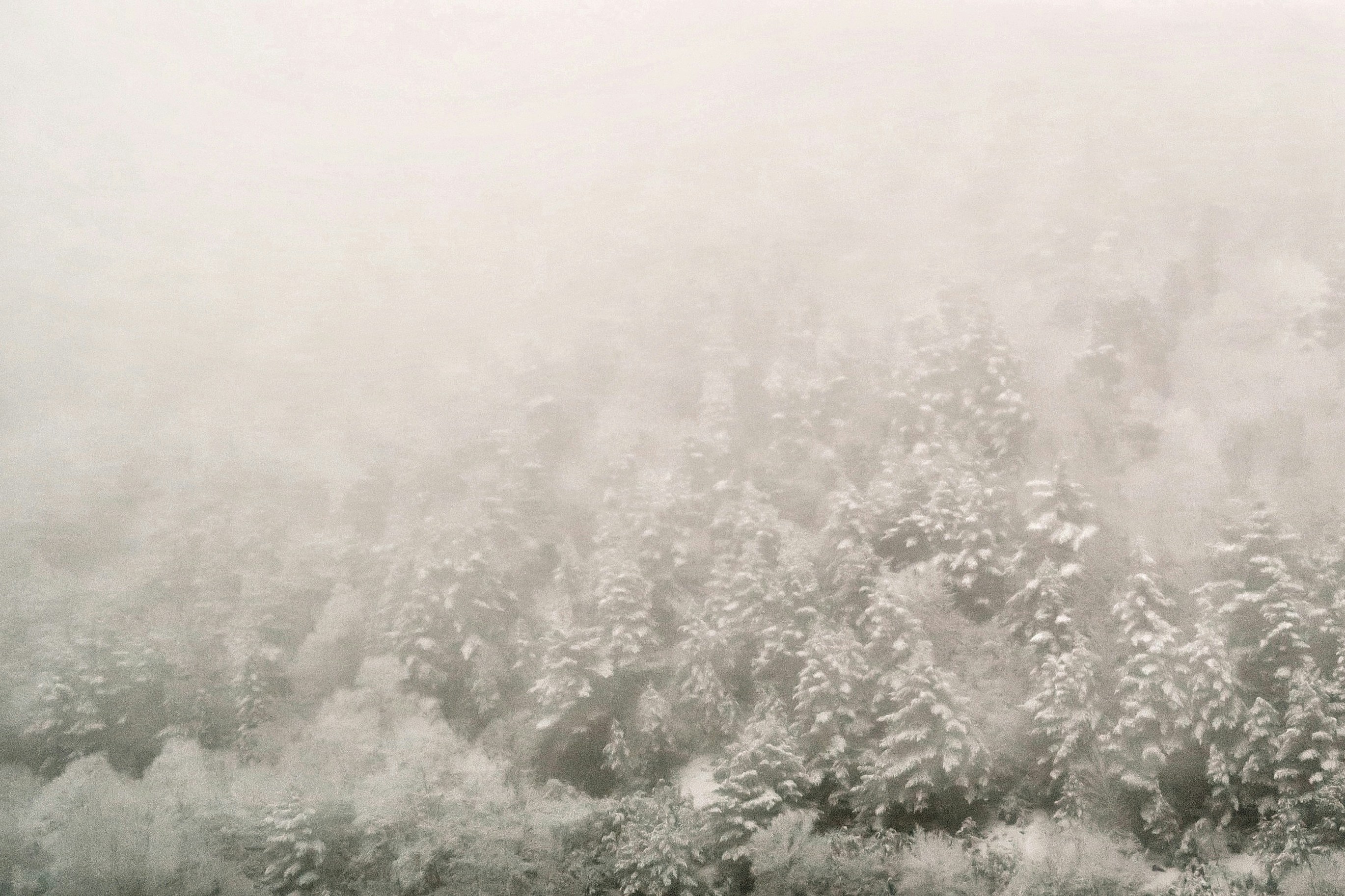 Photo by albacalbeto