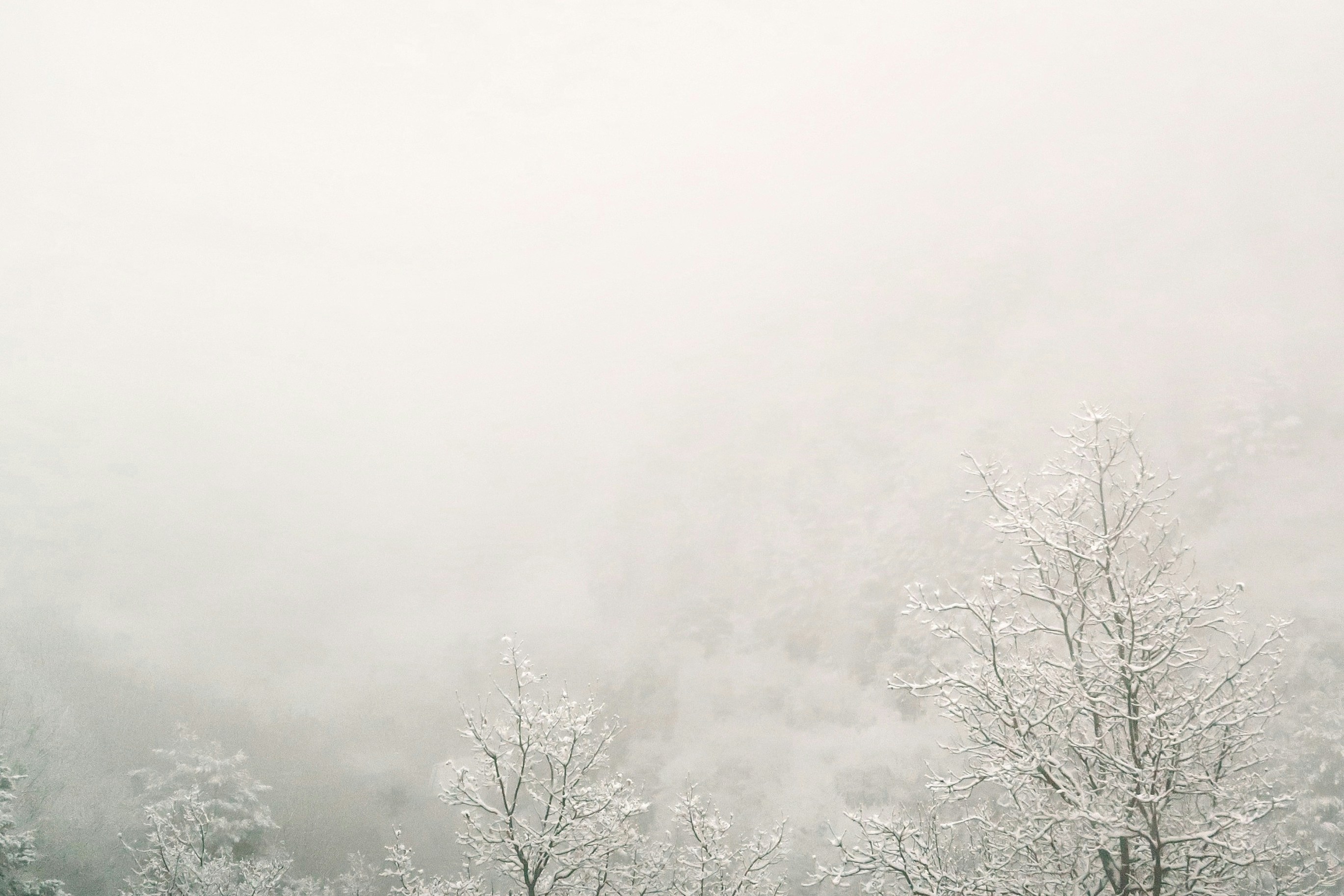 Photo by albacalbeto