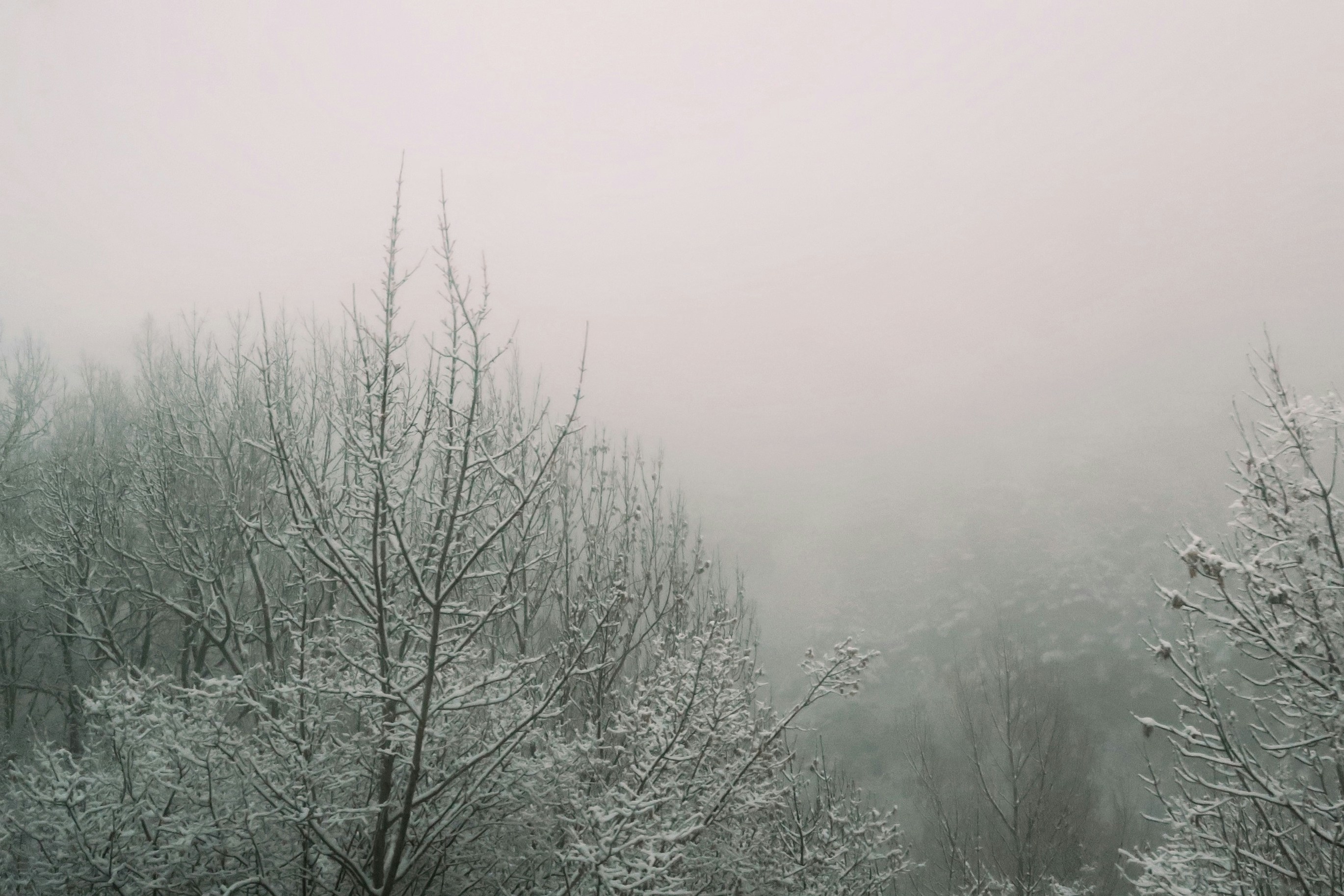 Photo by albacalbeto