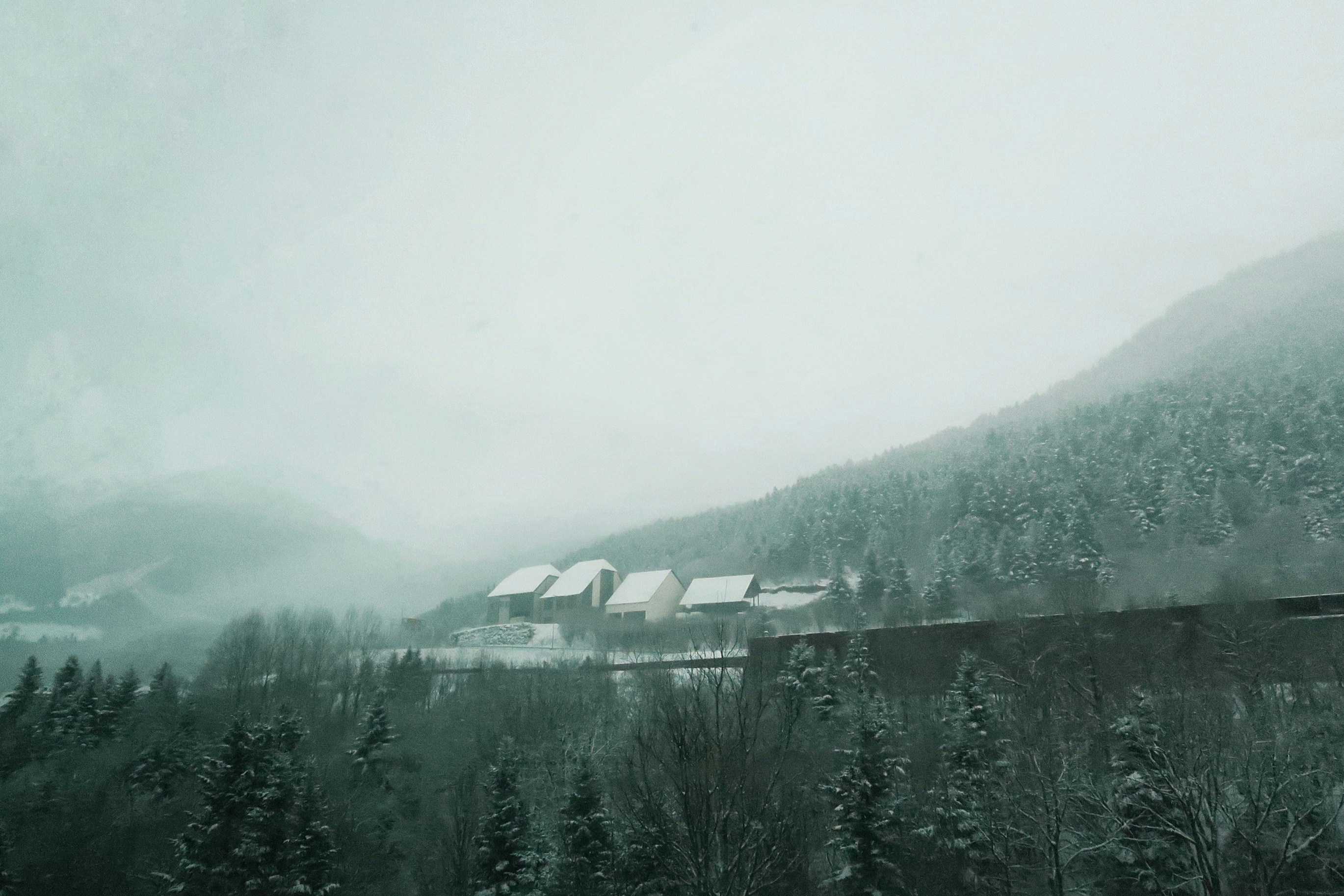 Photo by albacalbeto