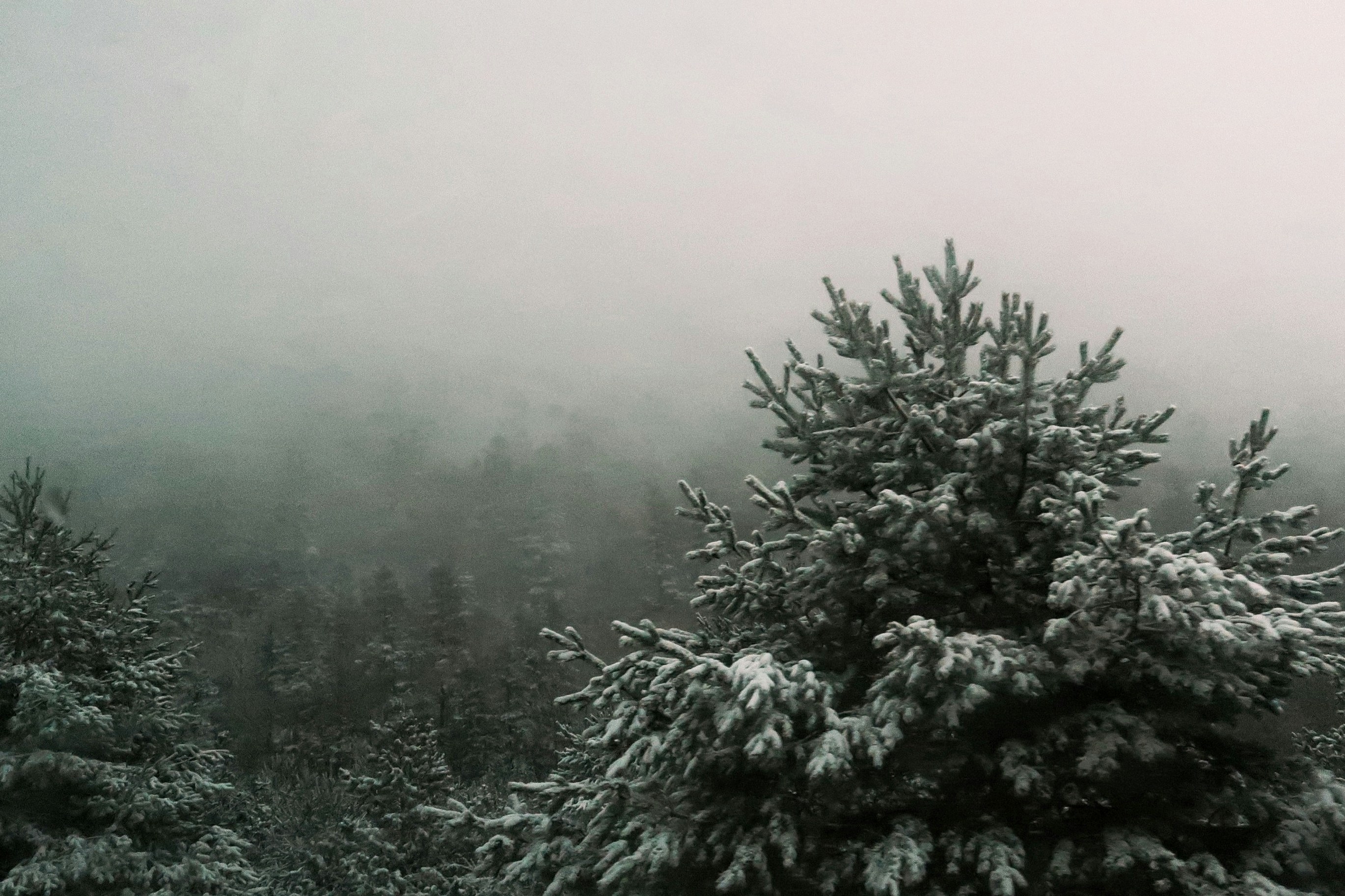 Photo by albacalbeto