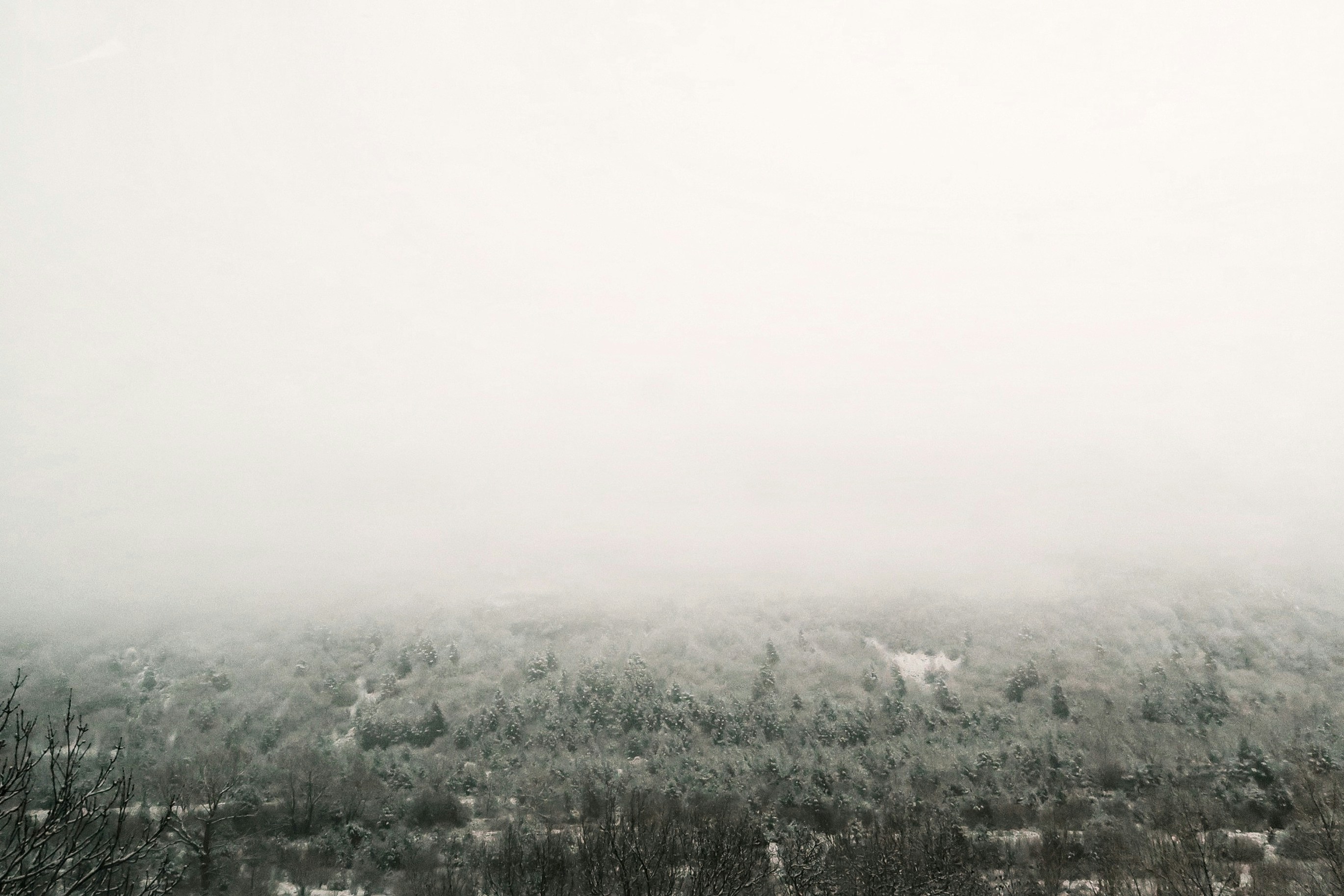 Photo by albacalbeto