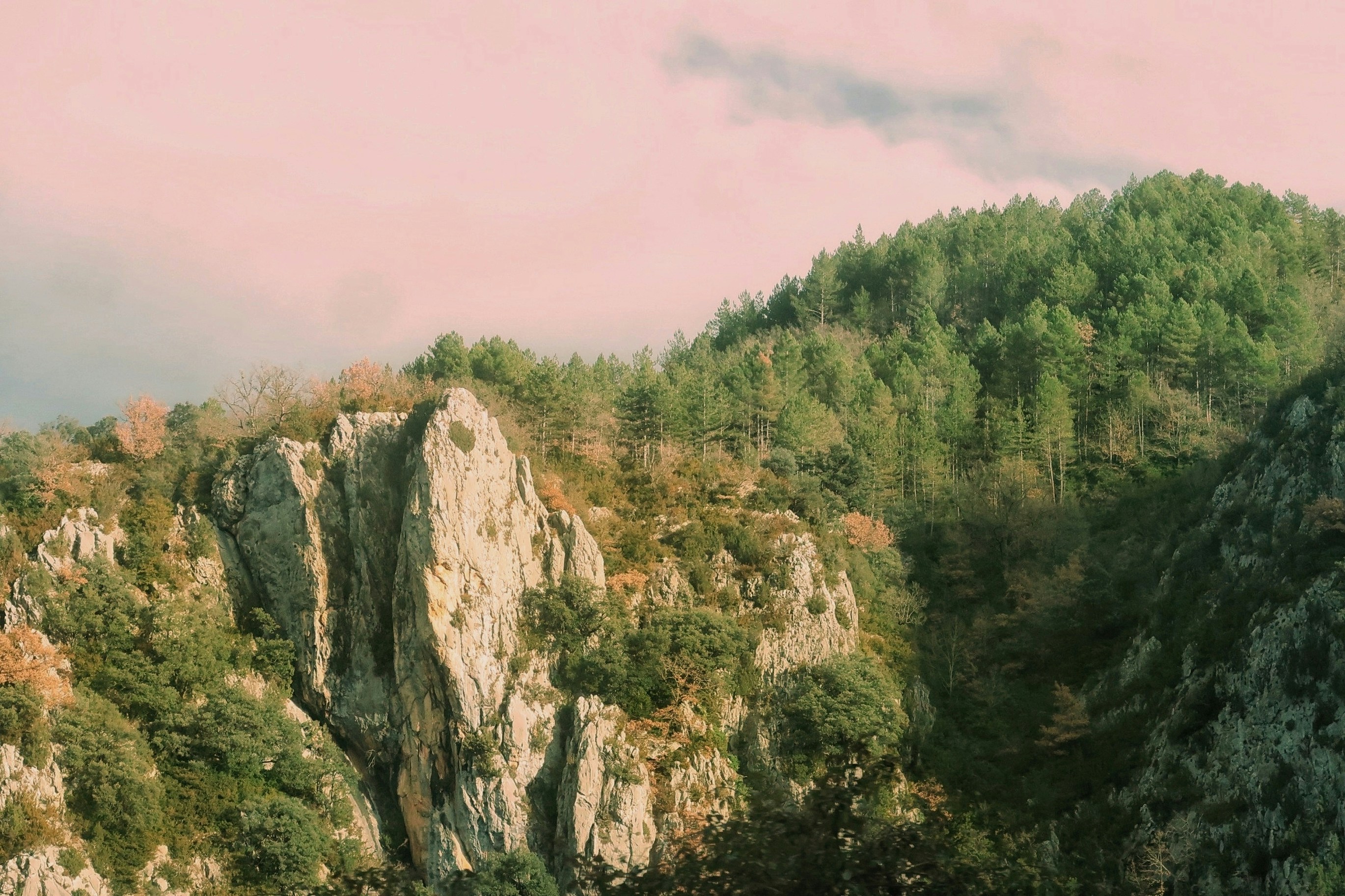 Photo by albacalbeto