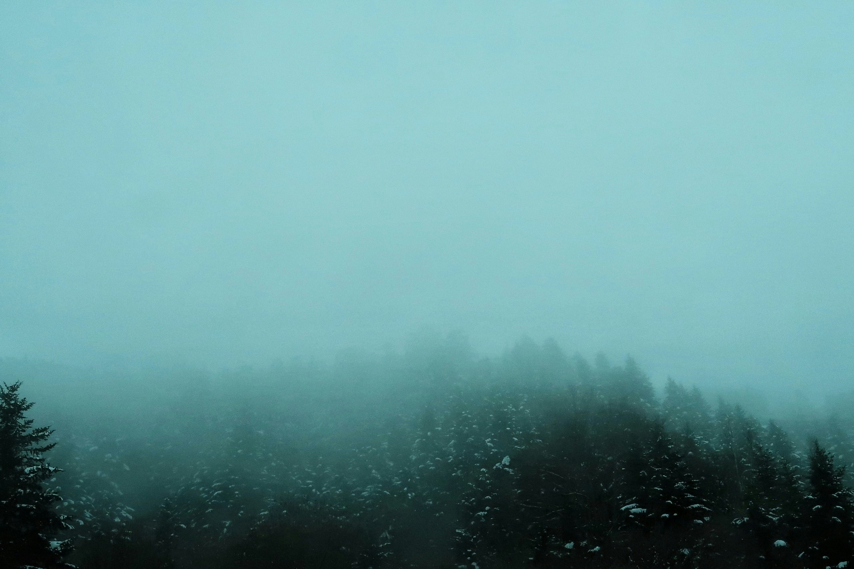 Photo by albacalbeto