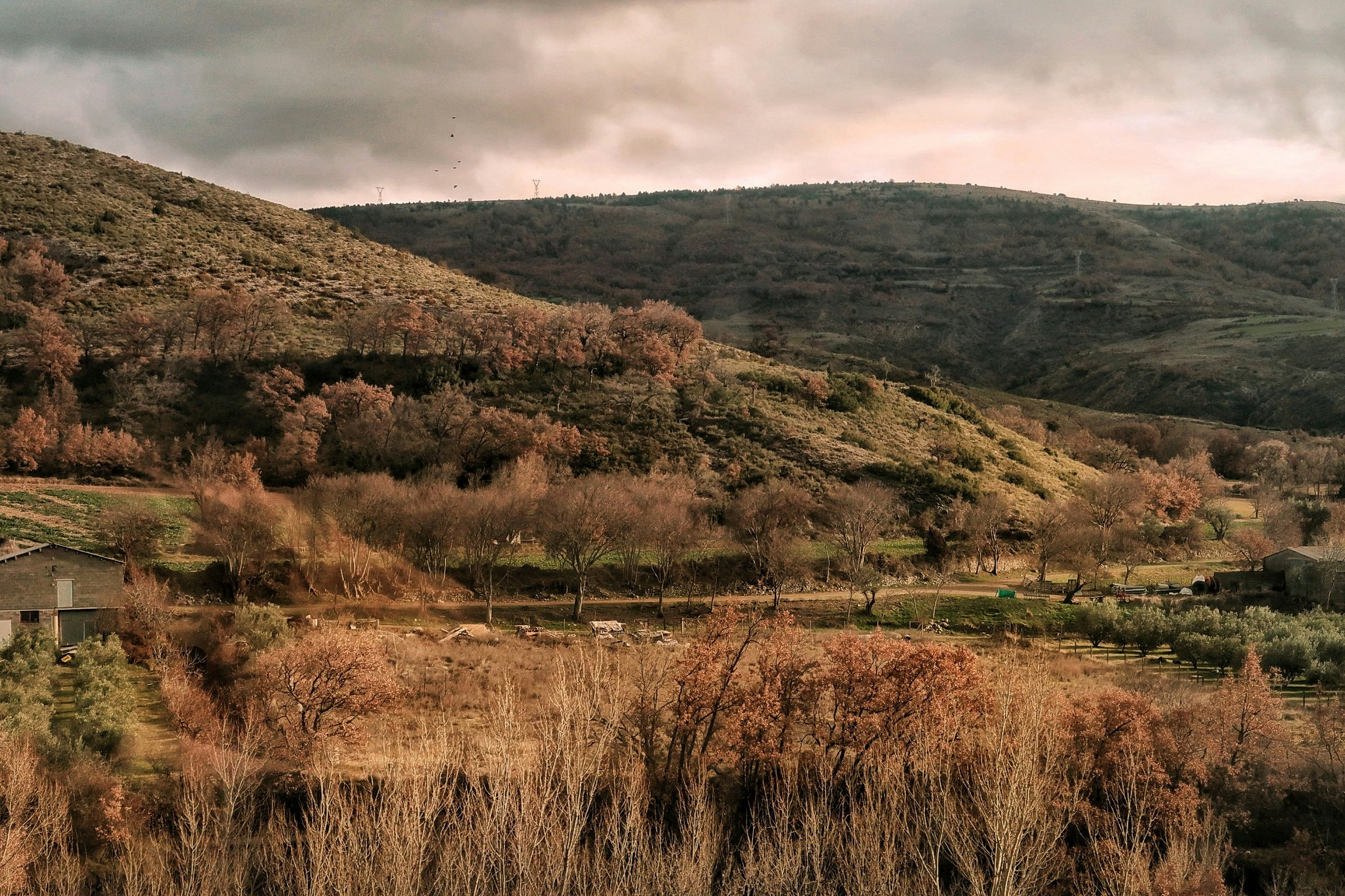 Photo by albacalbeto