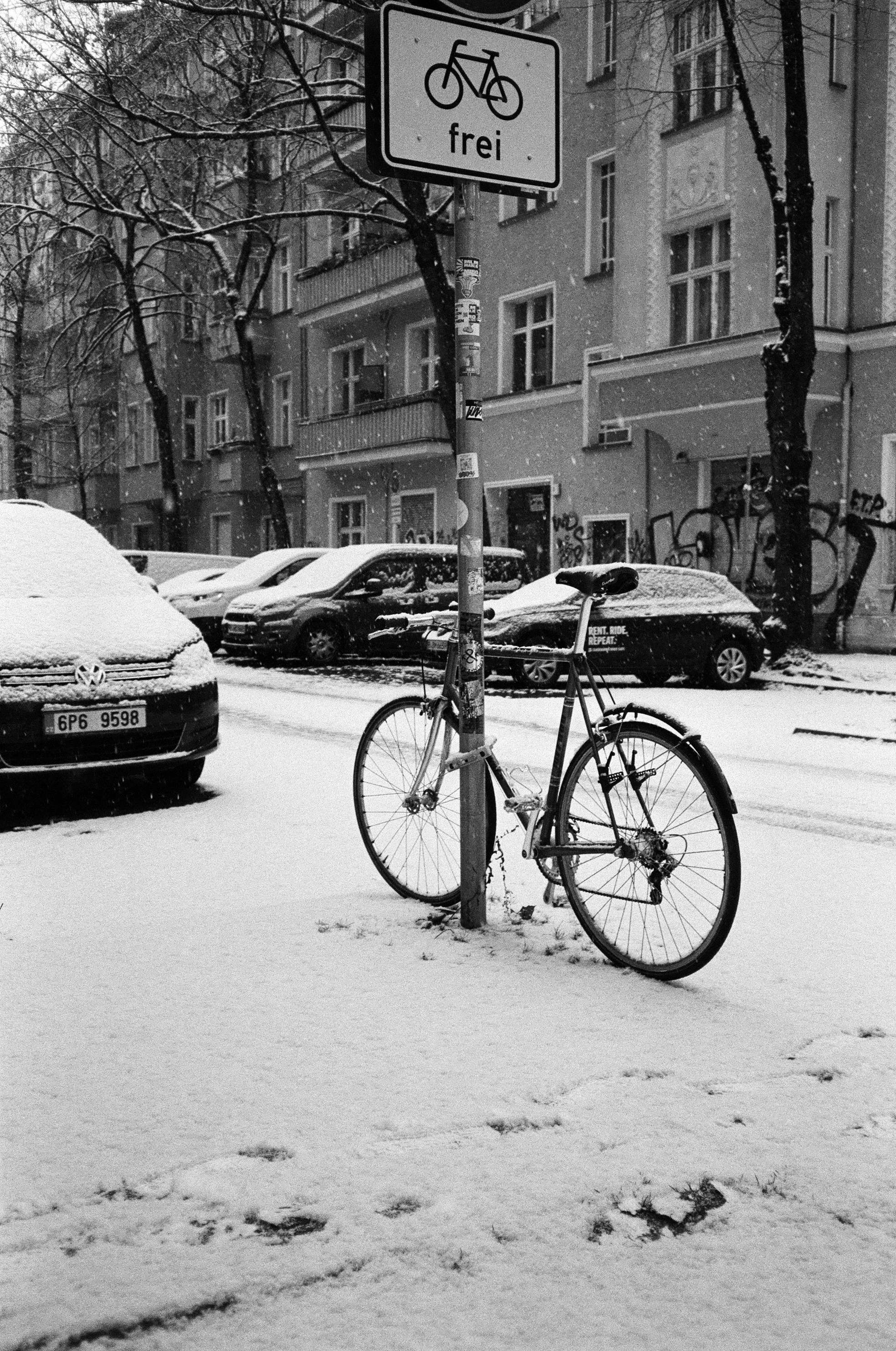 Photo by nikita_pishchugin