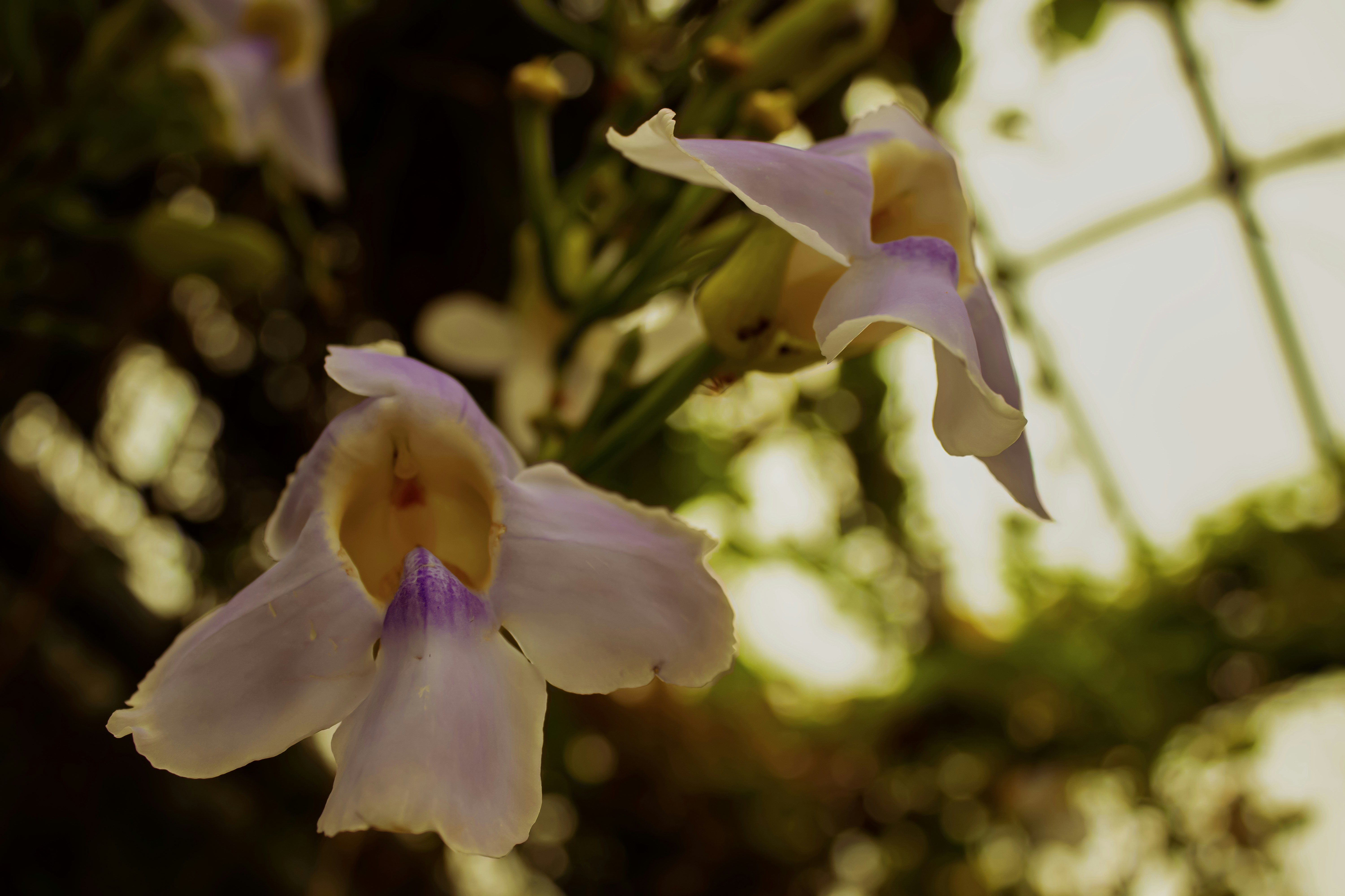 Photo by evan_marvell