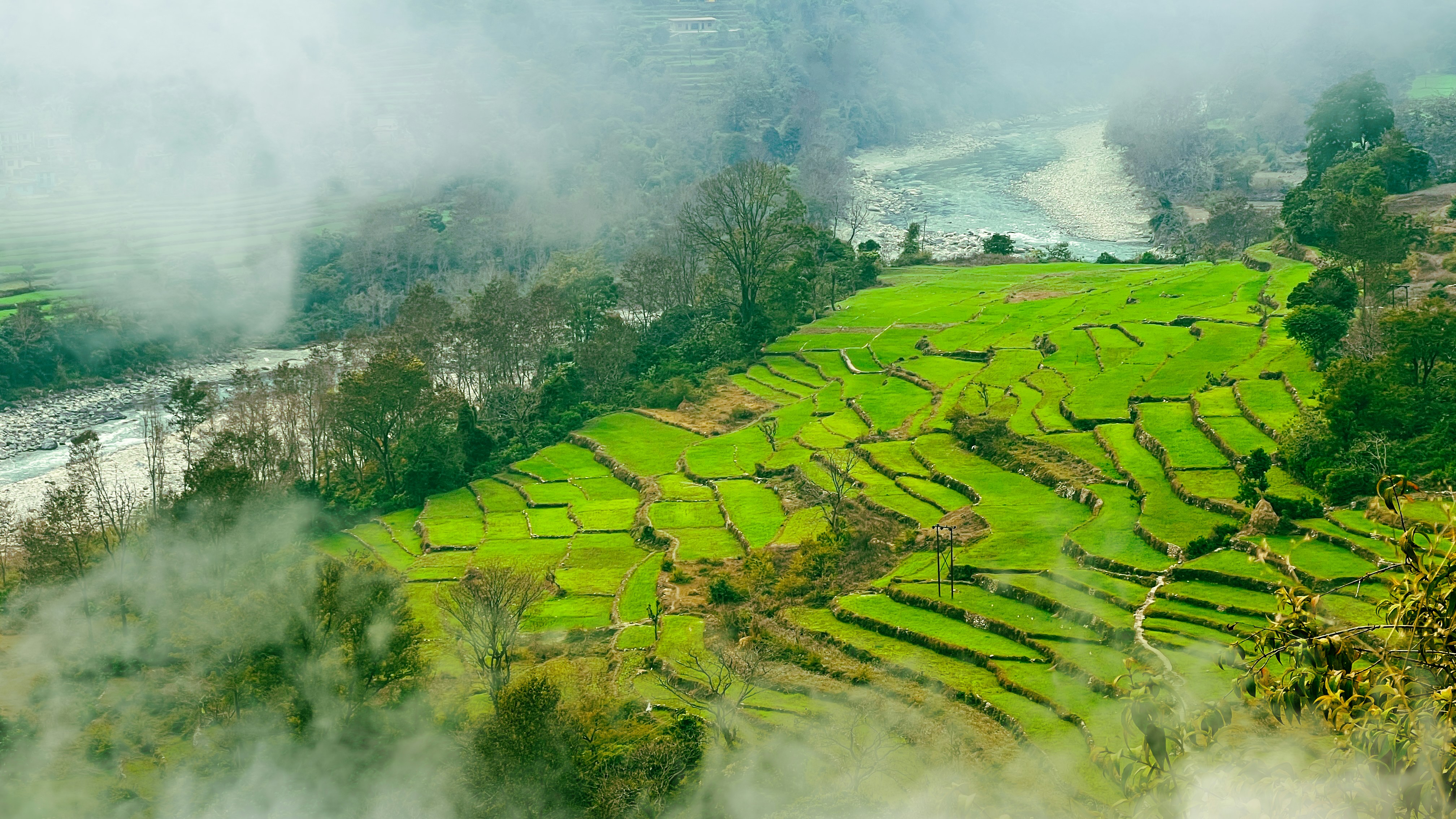 Lush green rice terraces with a river and mist.