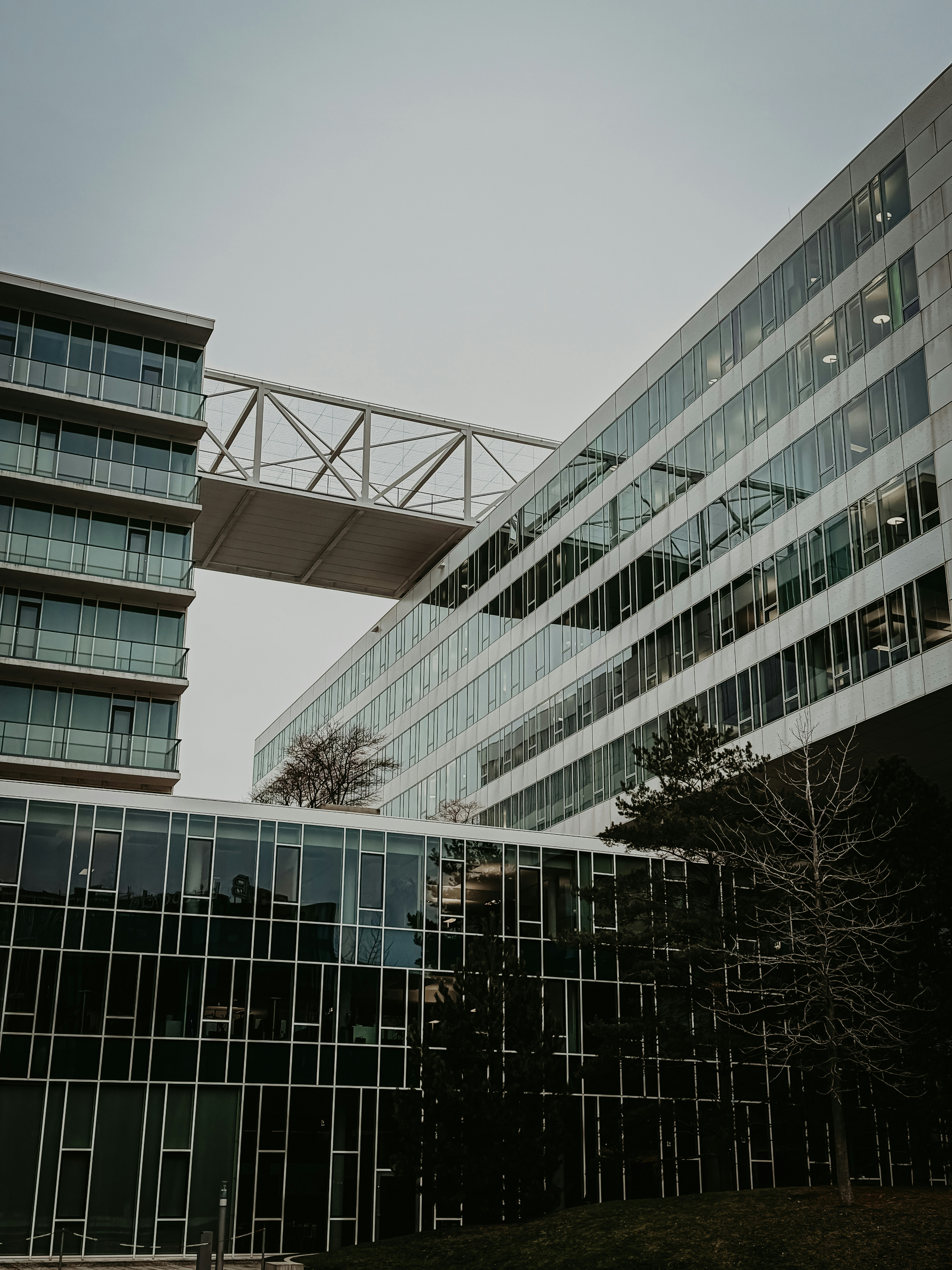 Photo by stefvisuals