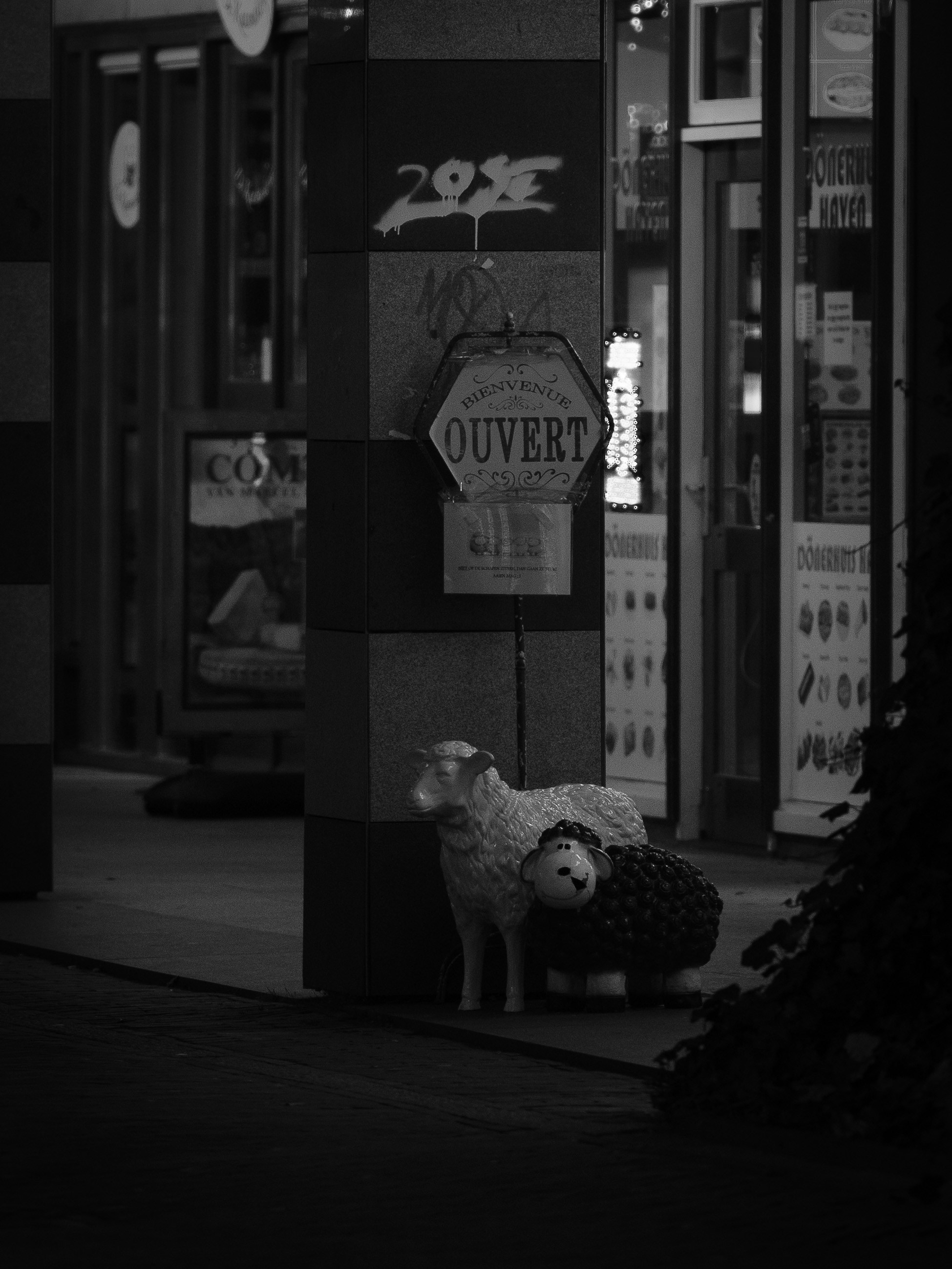 Photo by haberdoedas