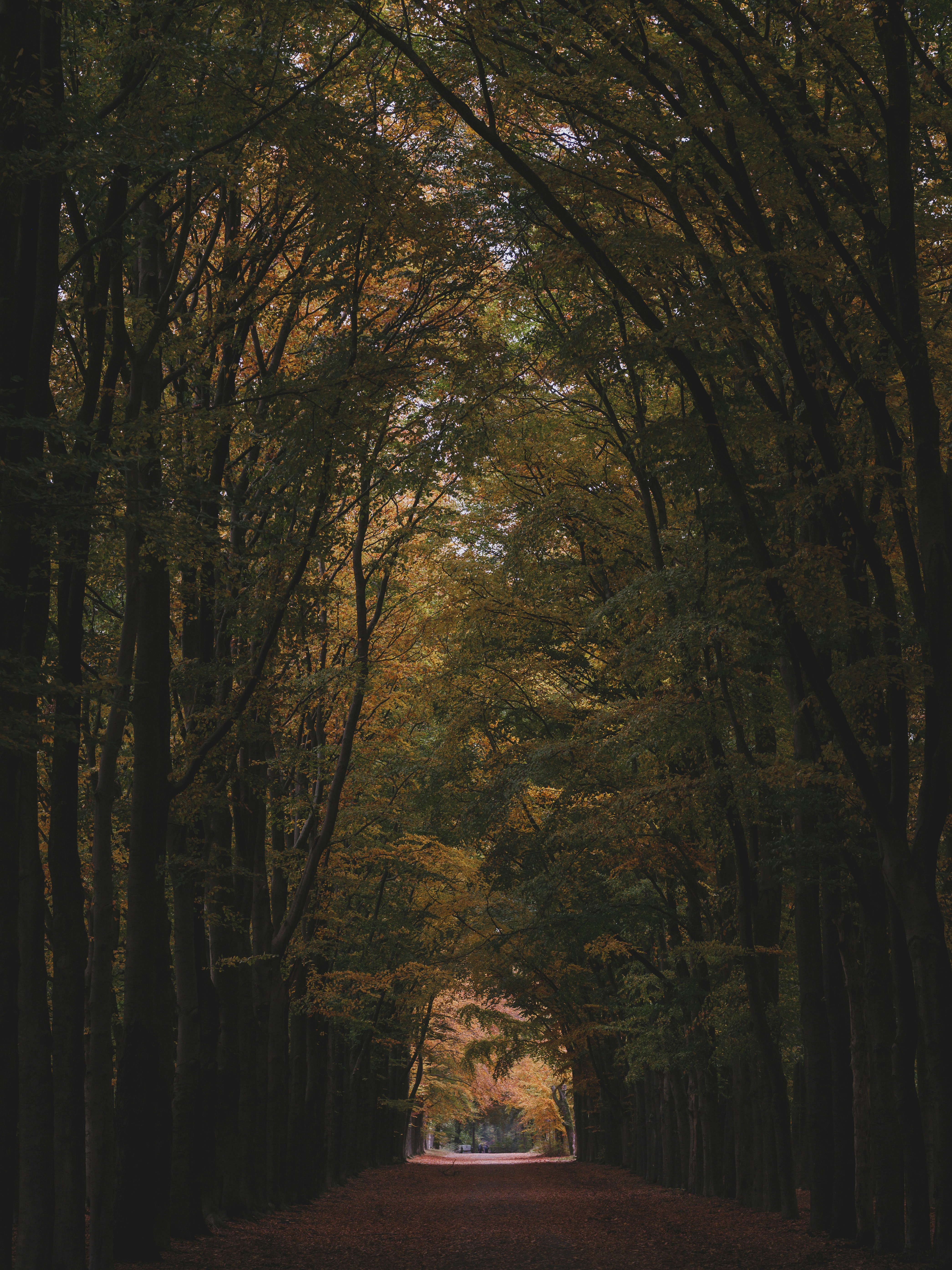 Photo by haberdoedas