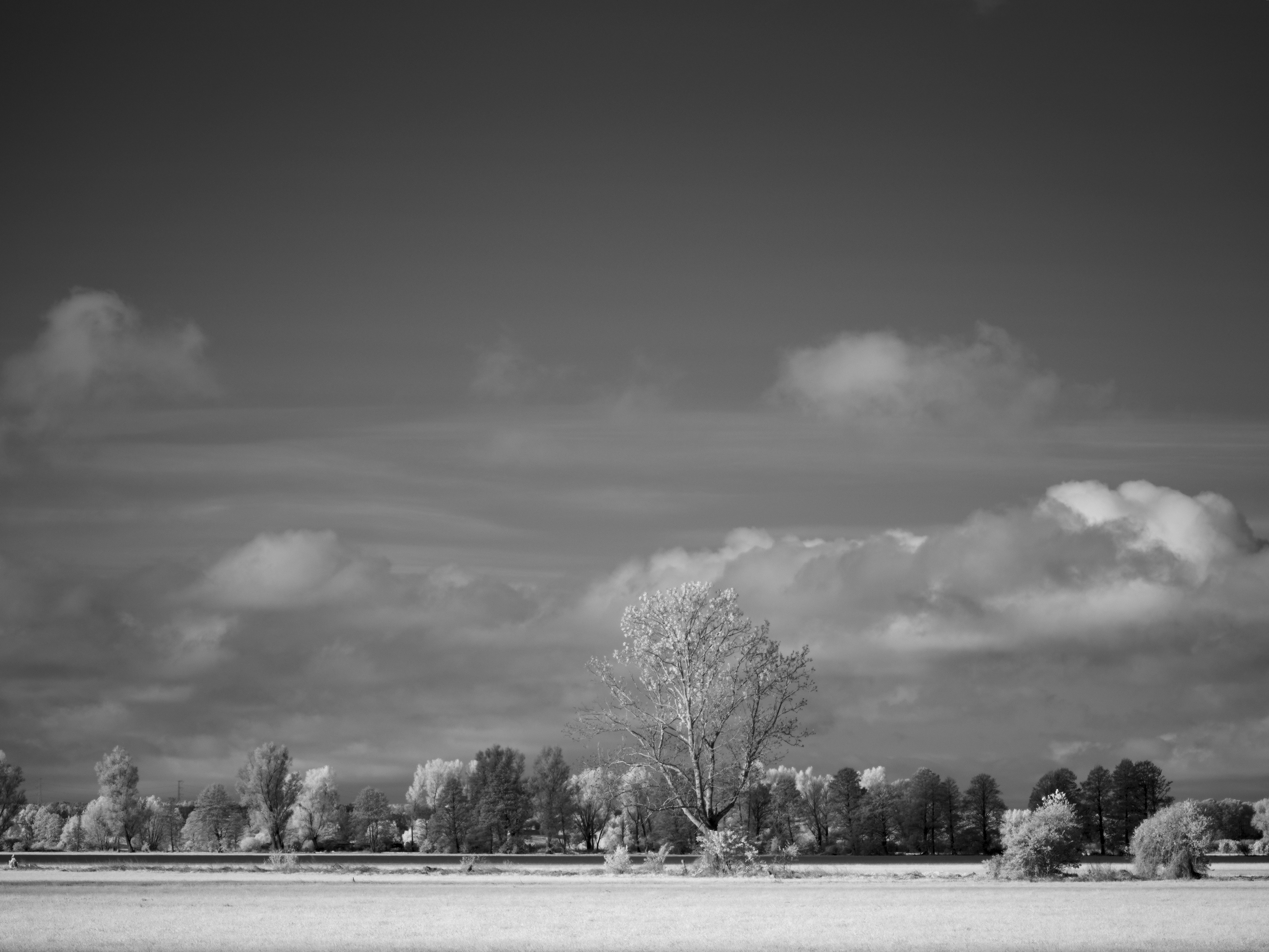 A landscape with trees and clouds under a dark sky