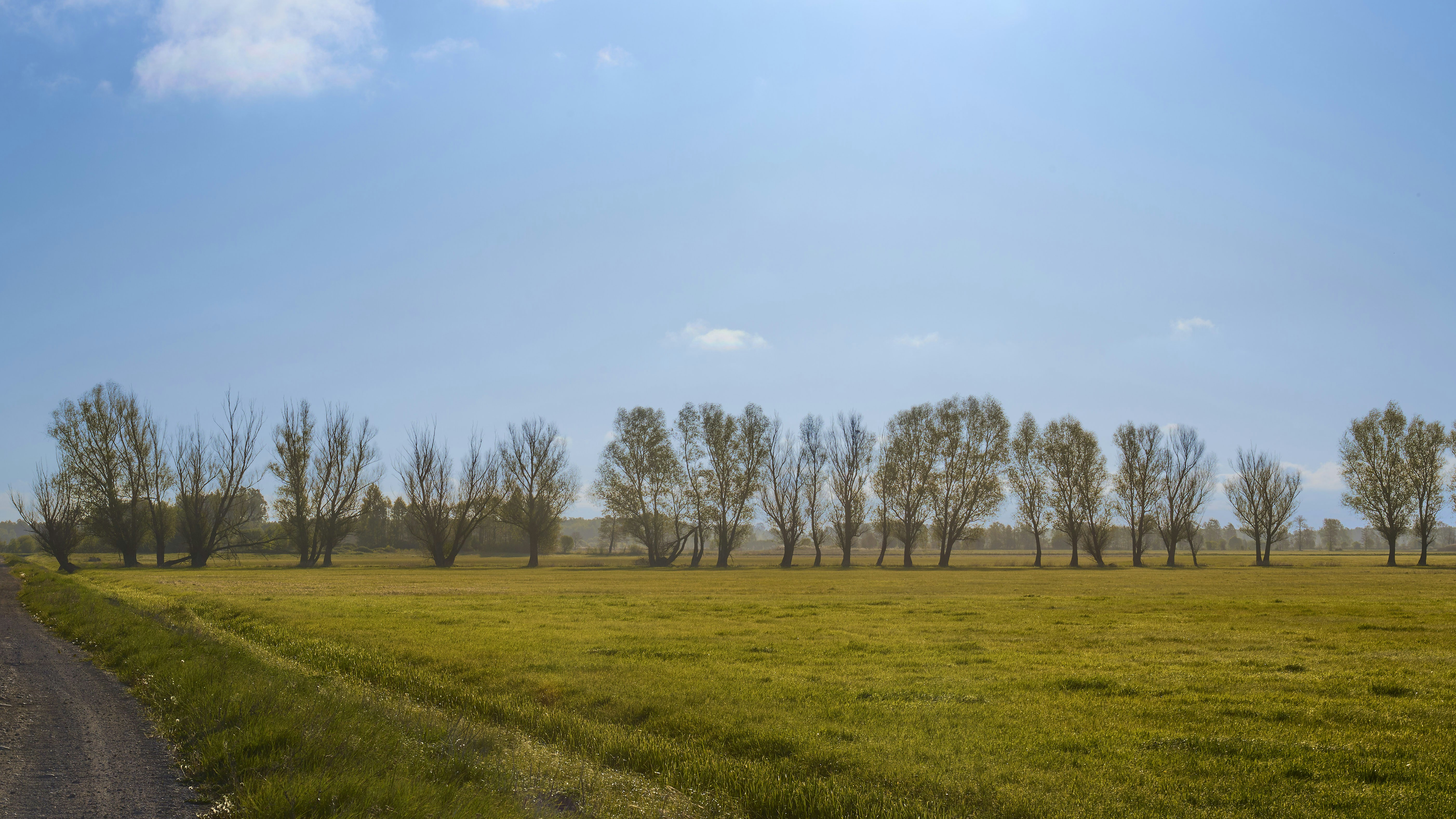 Photo by wolfgang_hasselmann