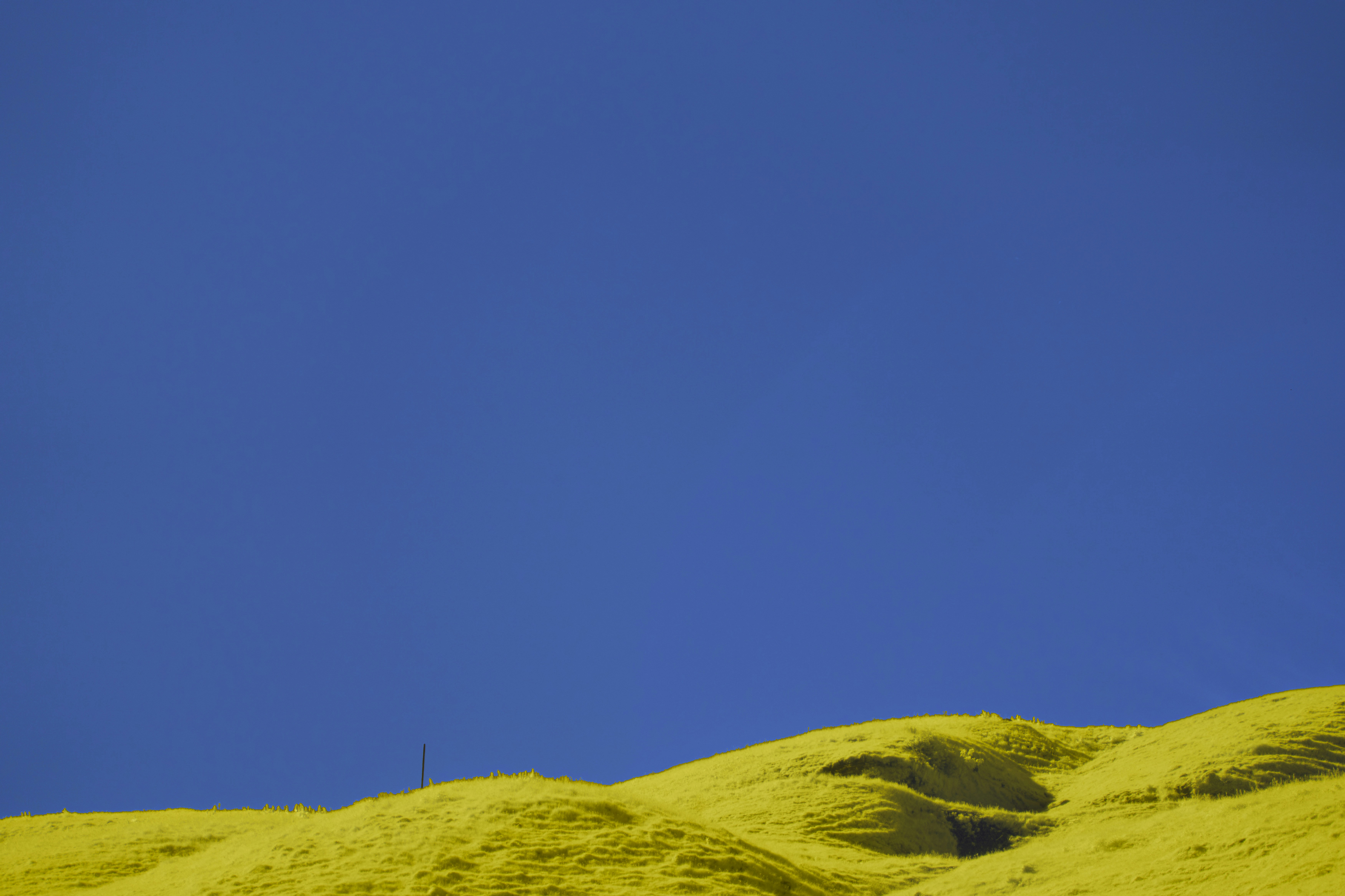 Photo by wolfgang_hasselmann