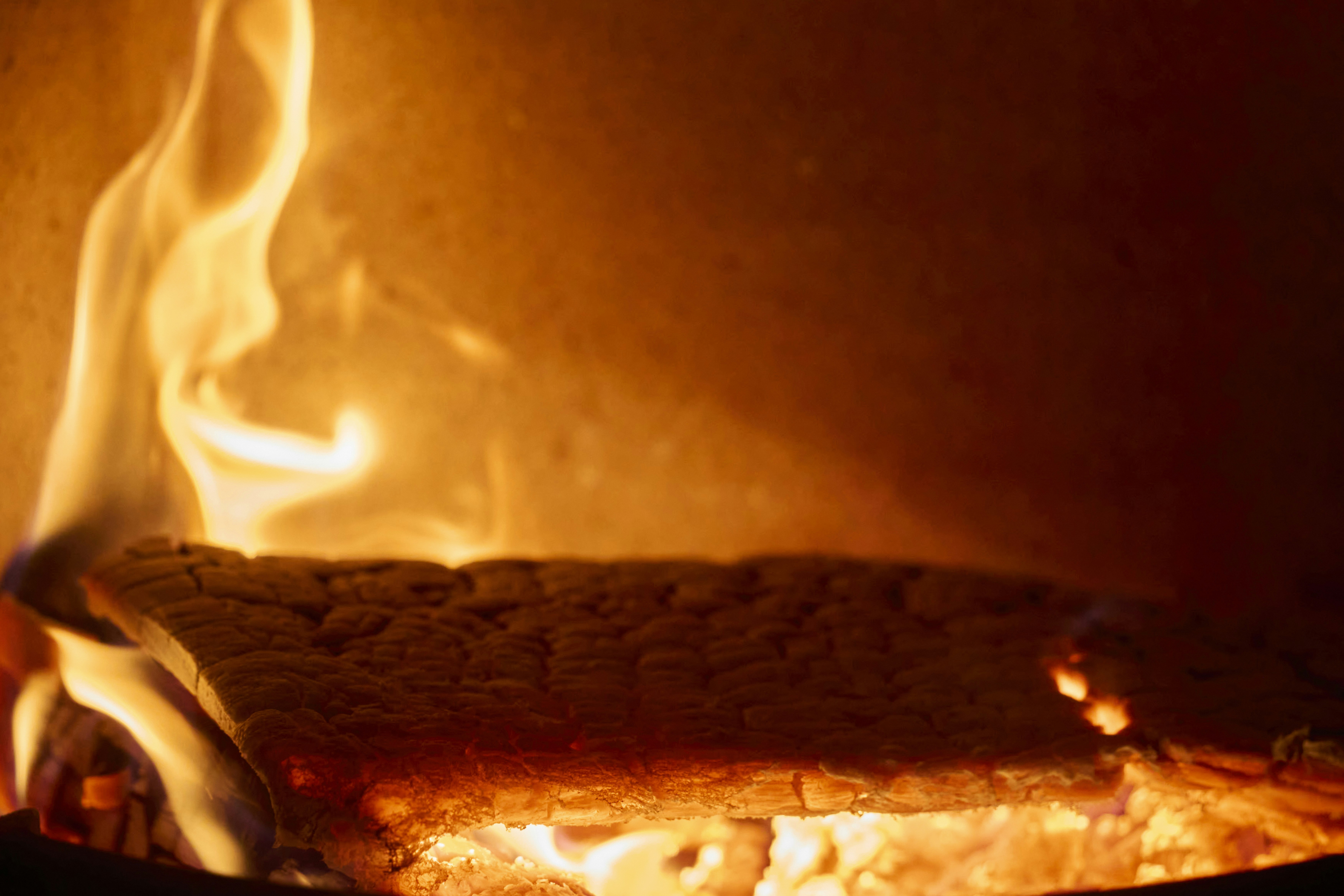 Photo by wolfgang_hasselmann