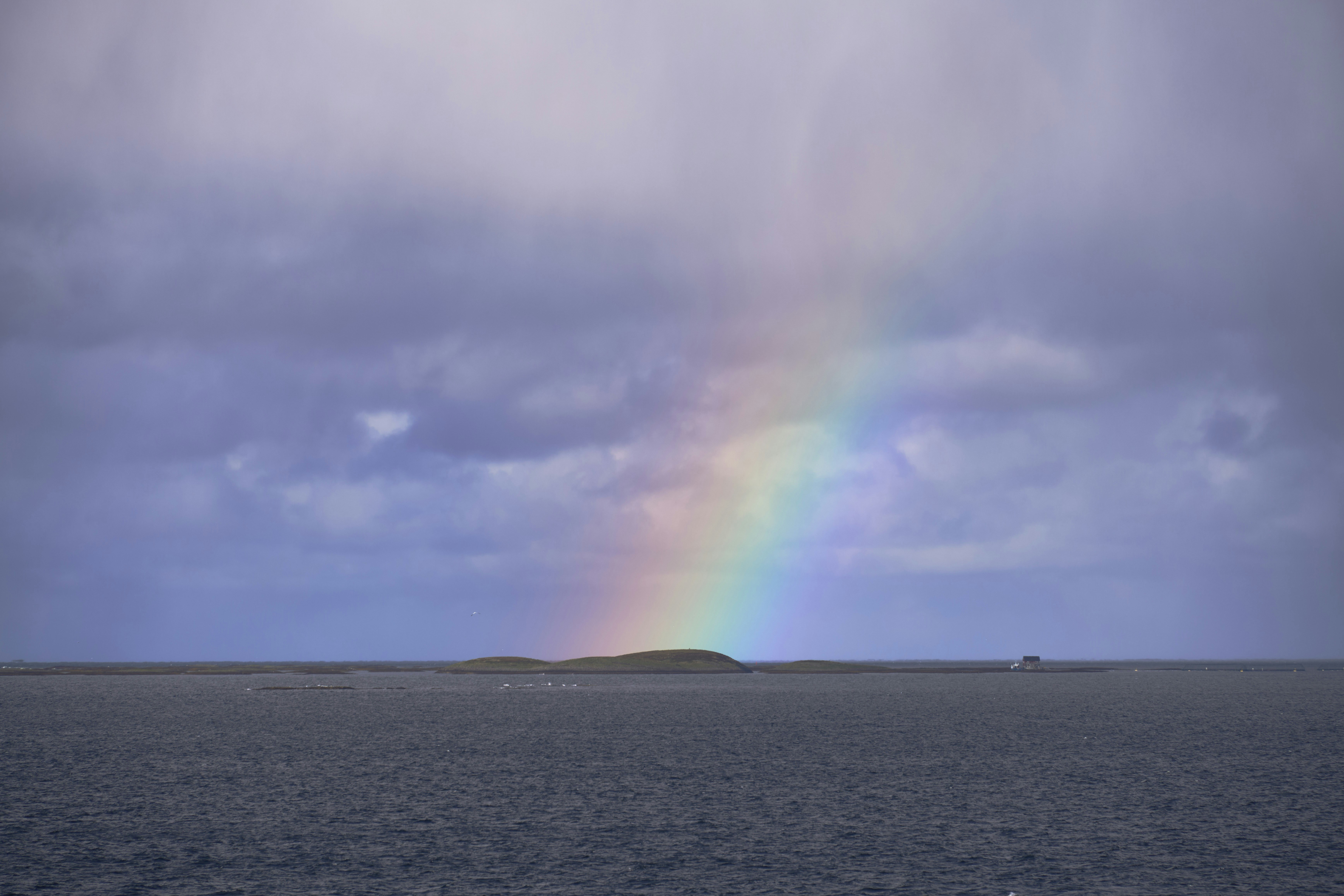 Photo by wolfgang_hasselmann