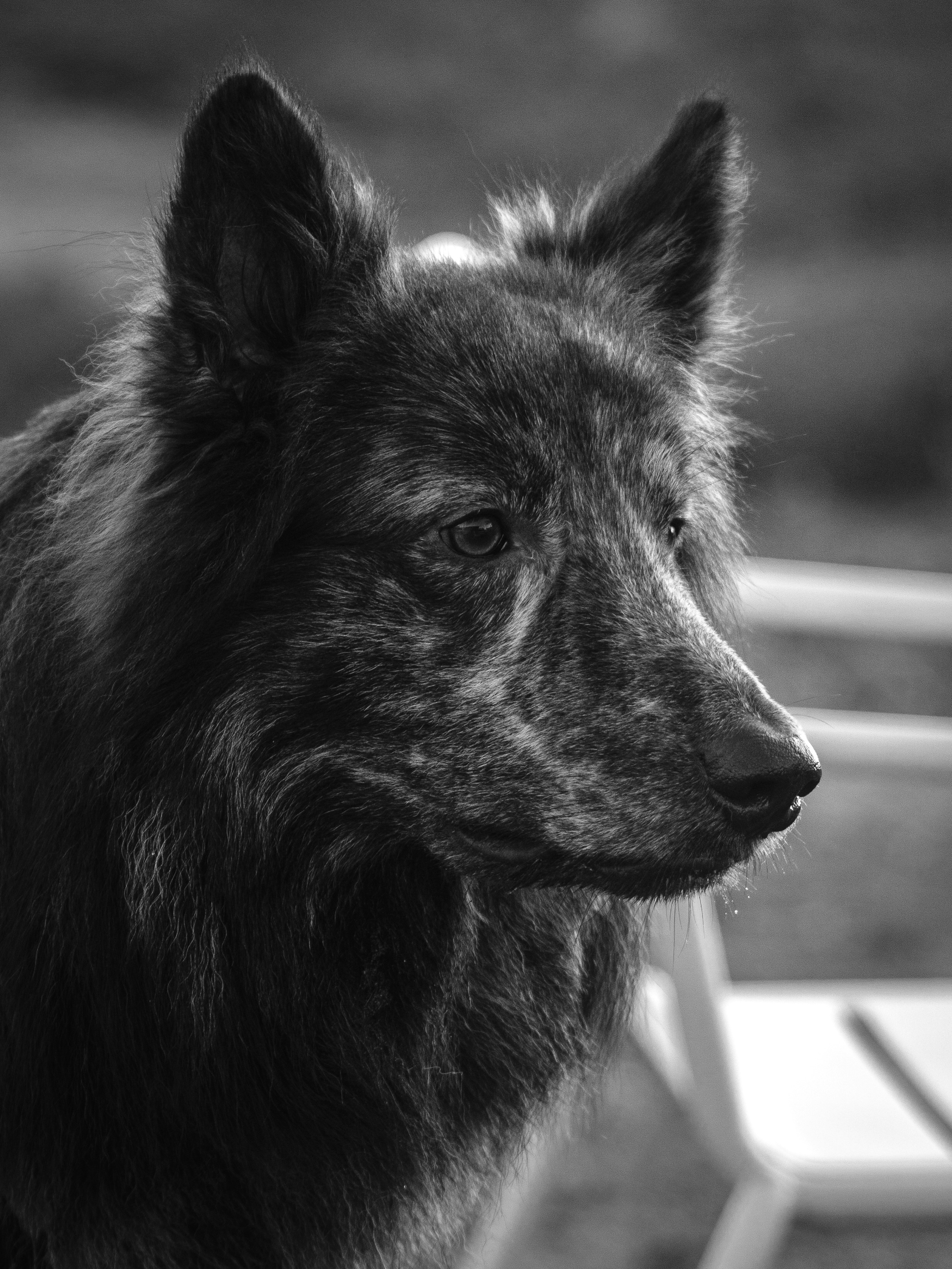 Photo by haberdoedas