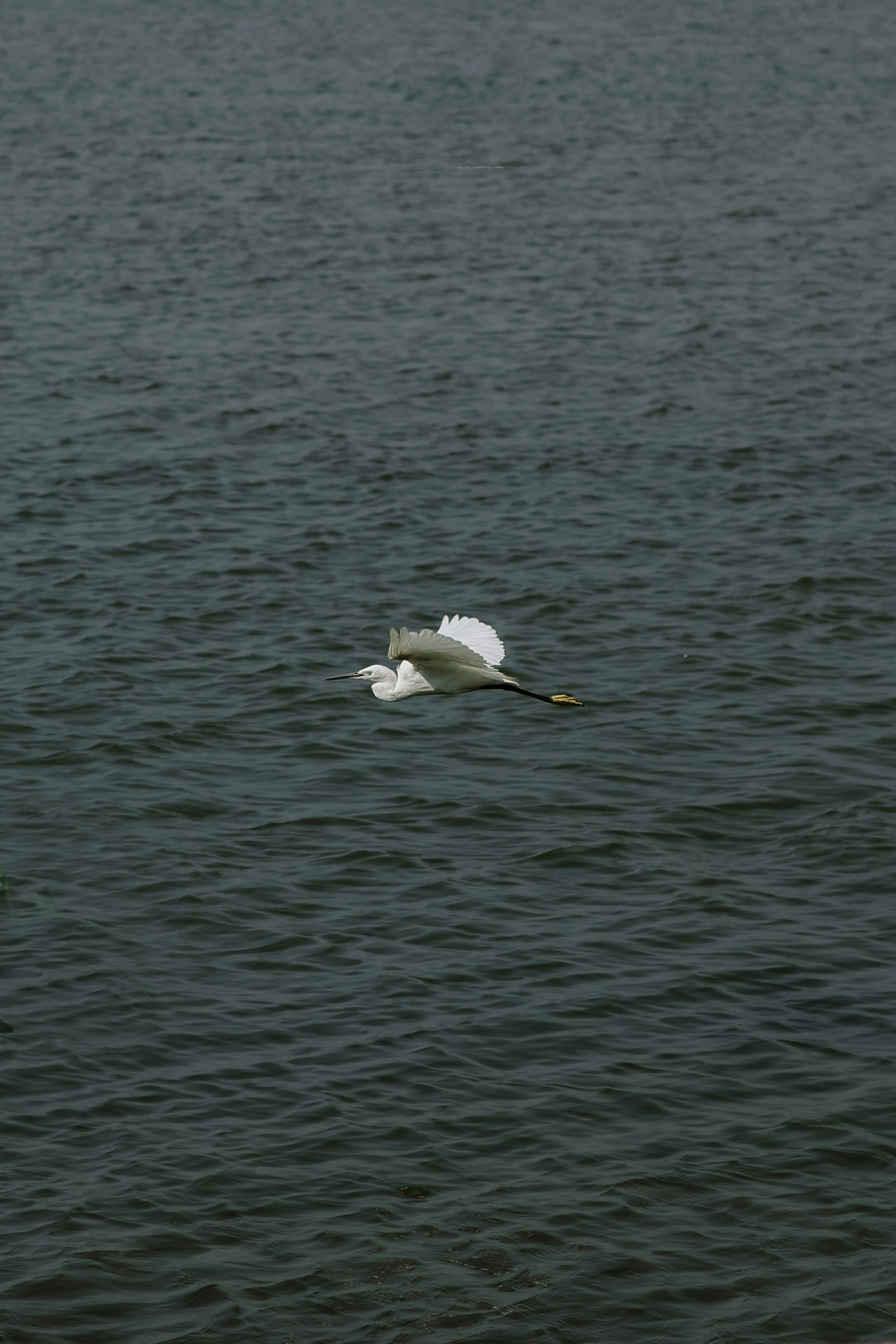 Photo by rkarchitectsandphotography