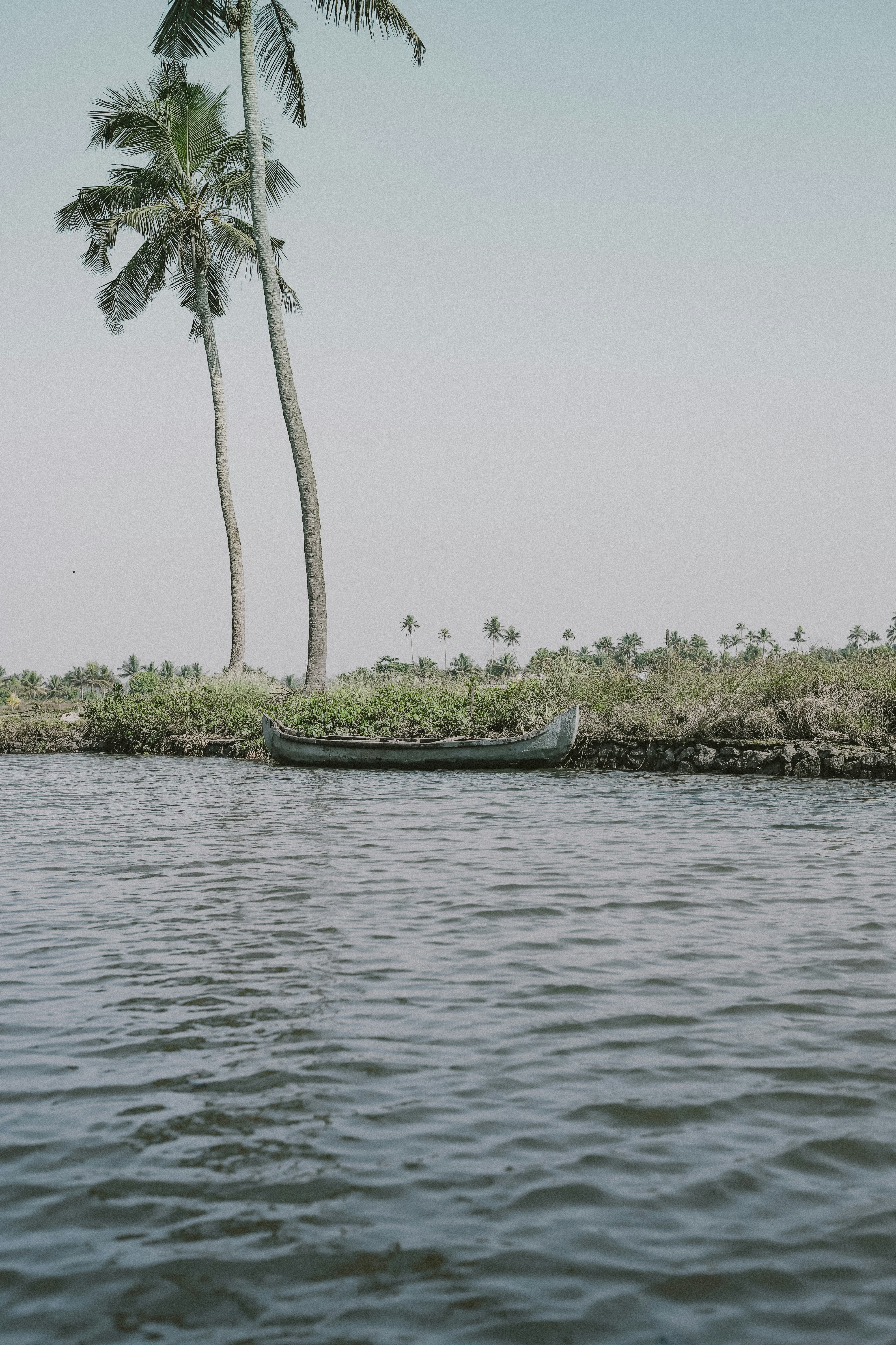 A narrow boat rests by palm trees near water.