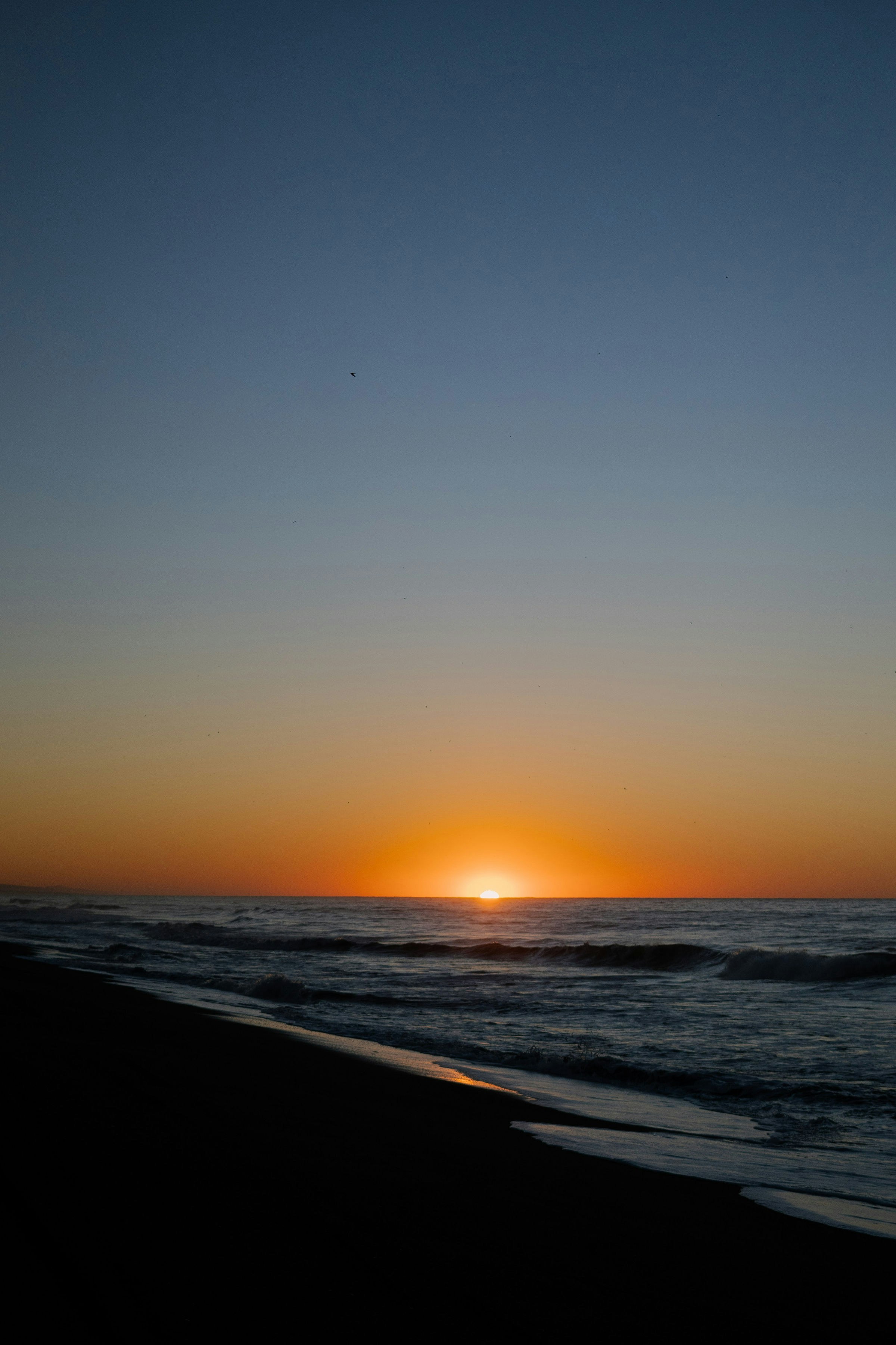 Photo by armando_p1cs