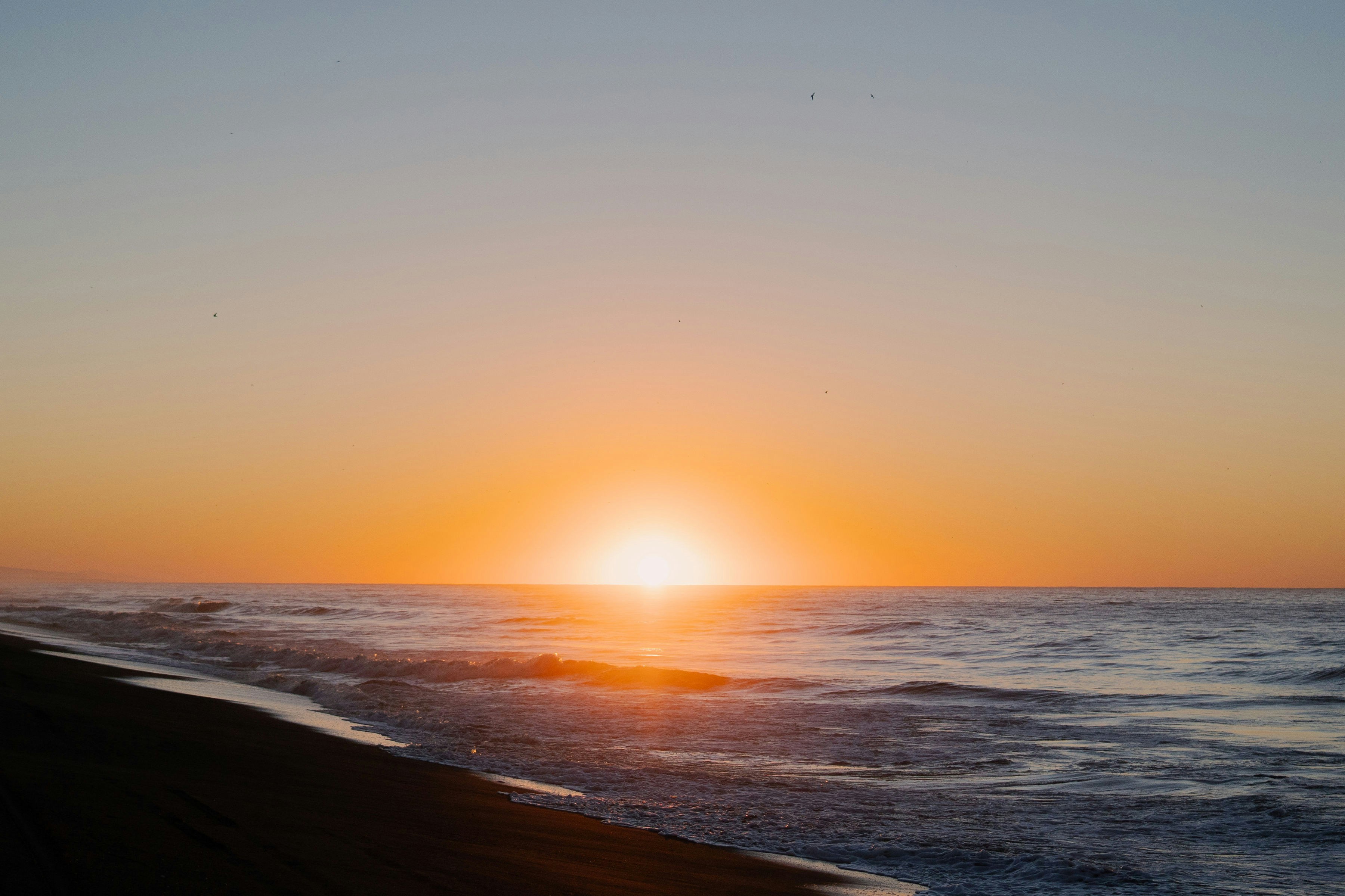 Photo by armando_p1cs