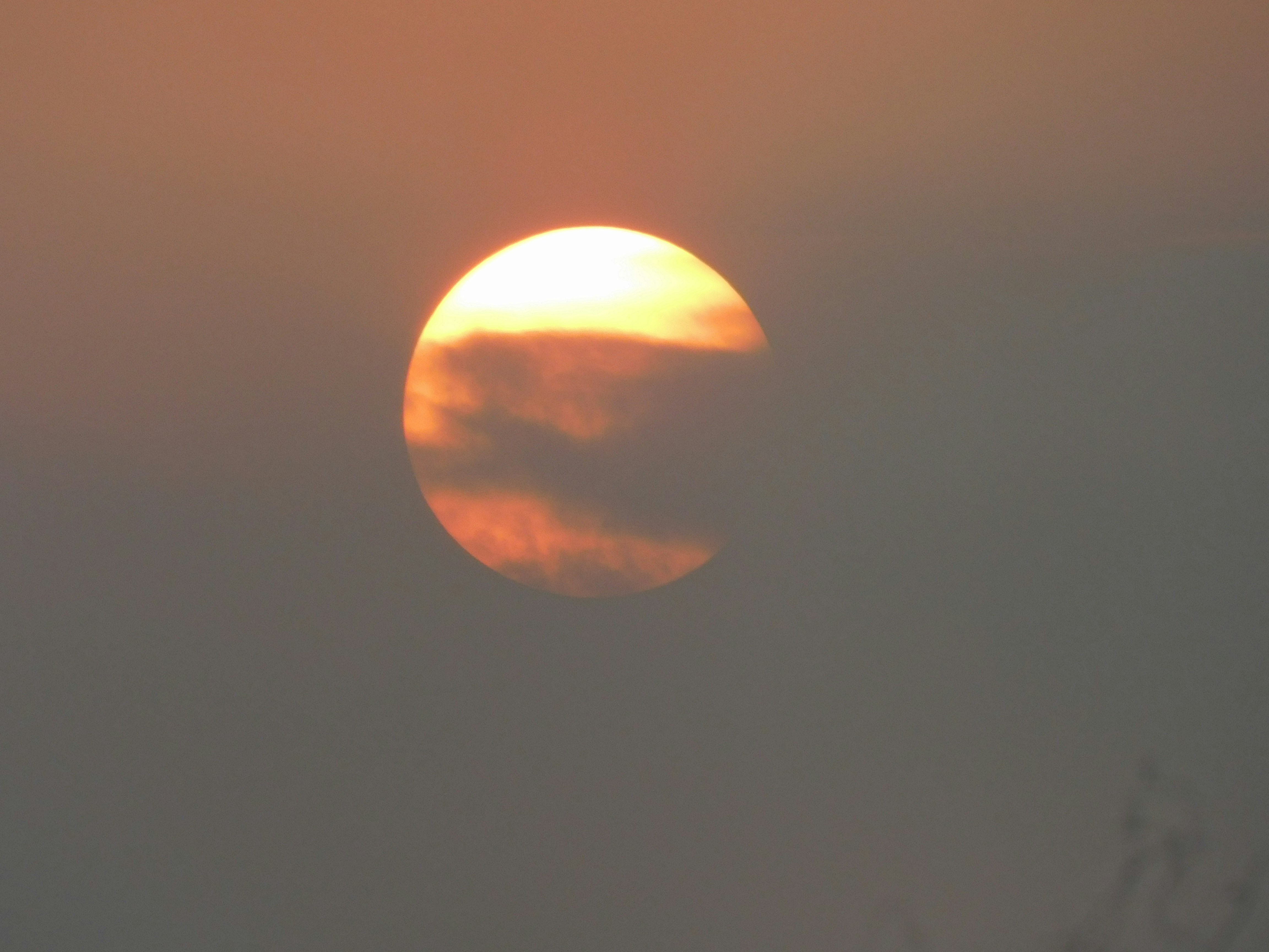 Photo by innocent_killer