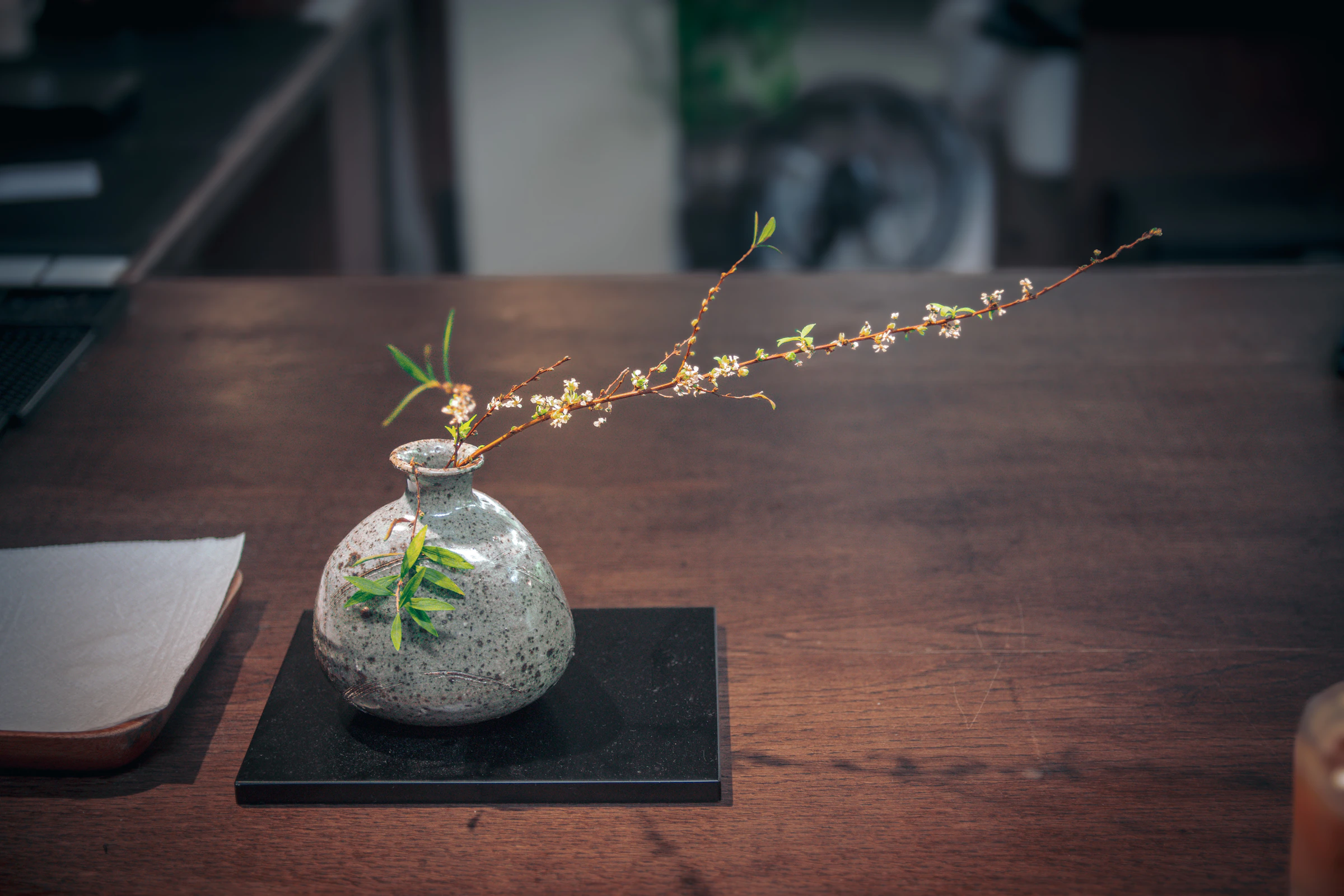 Minimal ceramic vase with a delicate flowering branch arranged on a dark warm wood table