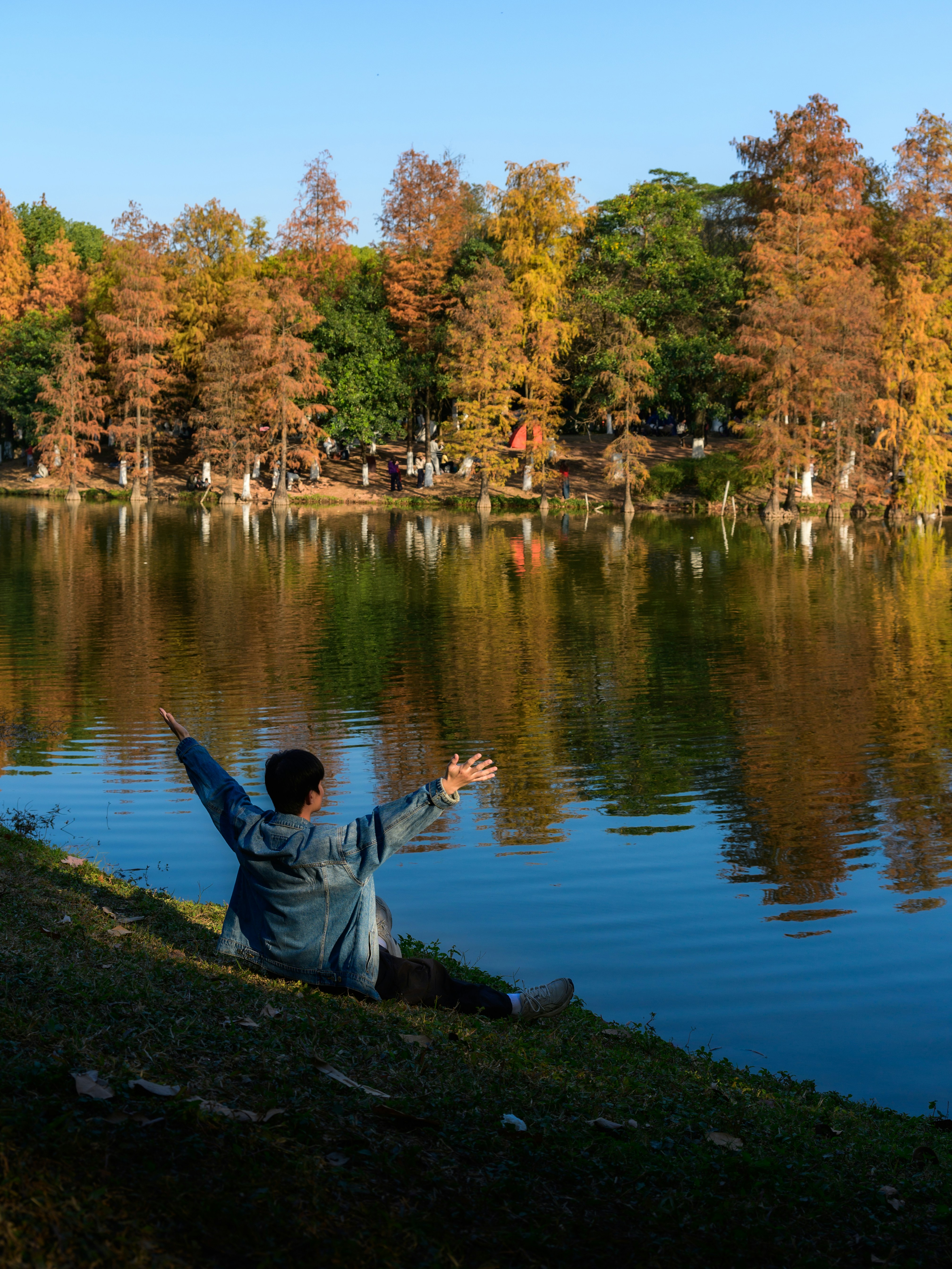 Person sitting by a lake with autumn trees