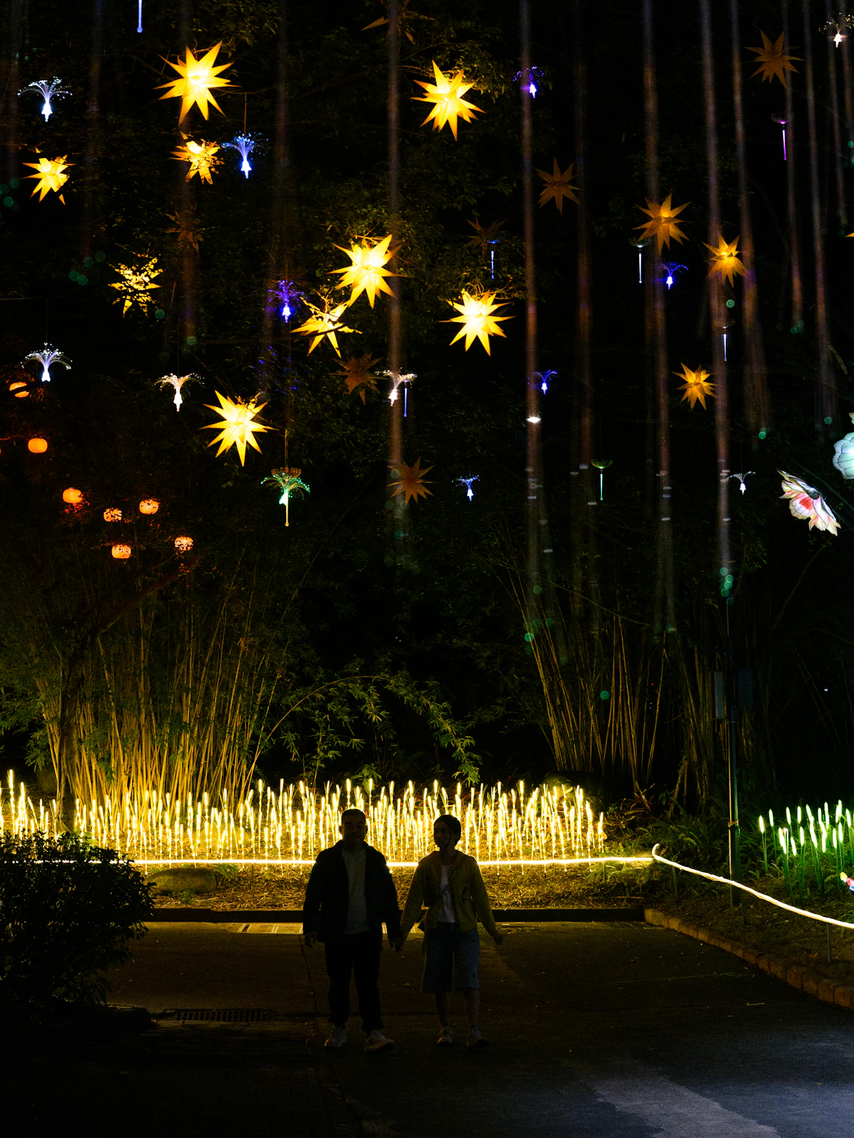 Deux personnes qui marchent dans un parc illuminé de lumières en forme d'étoiles