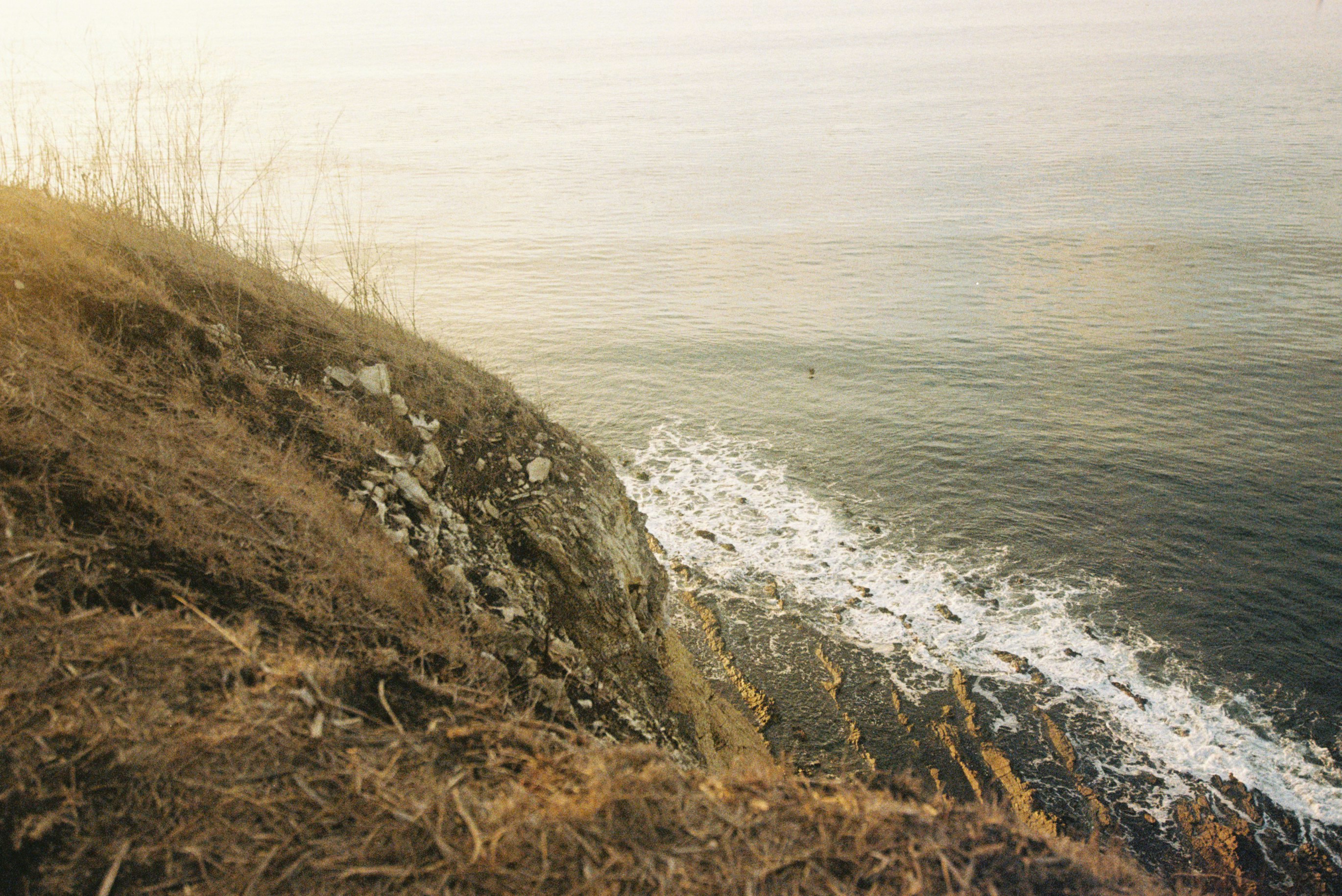Las olas rompen contra un acantilado rocoso con hierba seca.