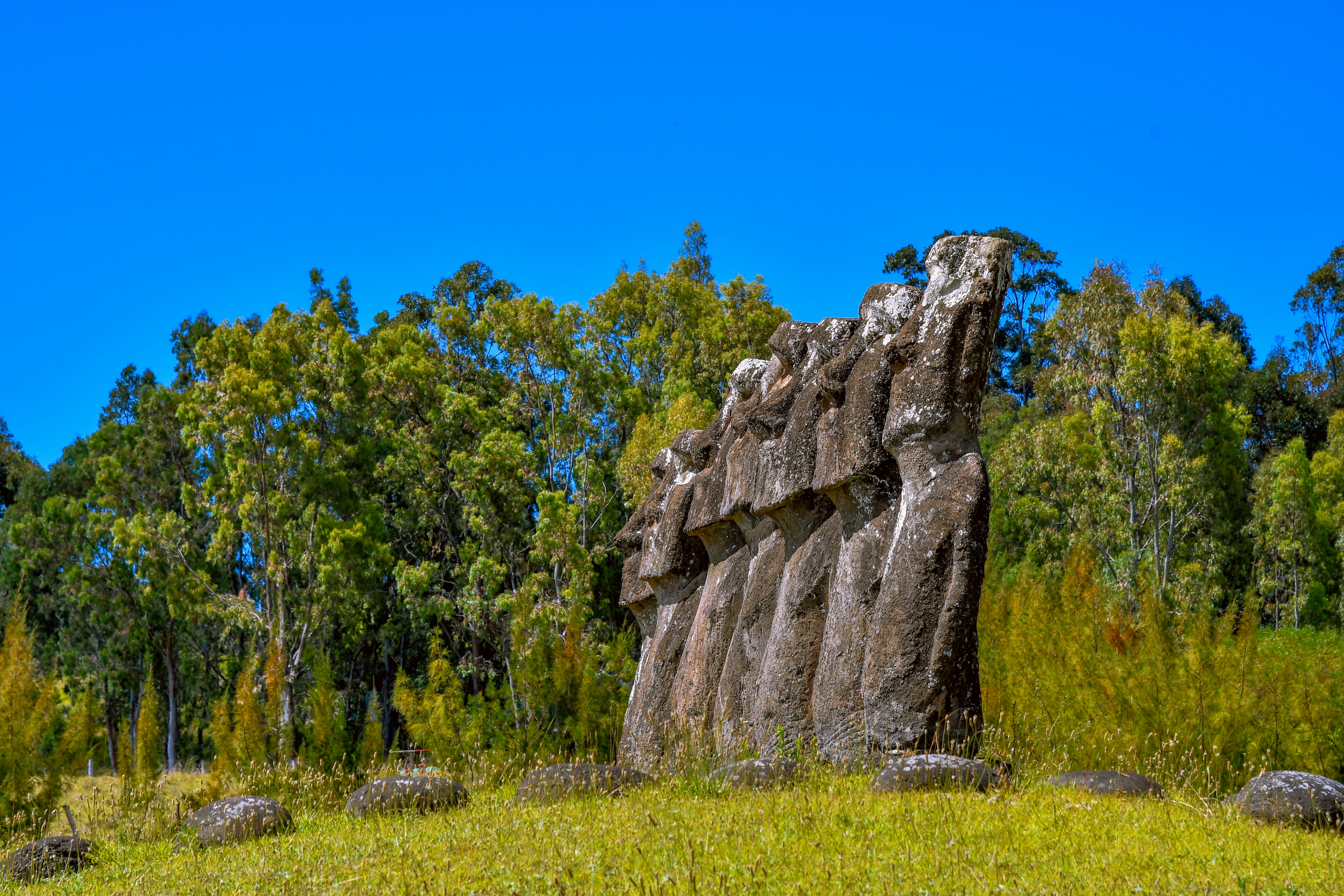 Photo by armandmckenzie