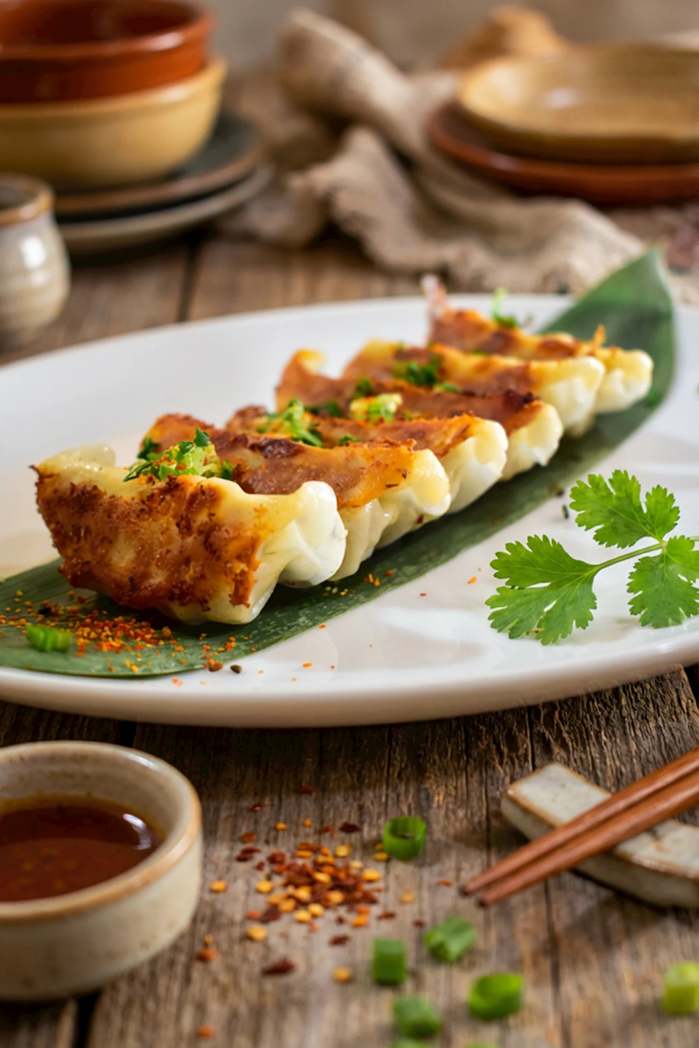 Gyoza Daging Sapi