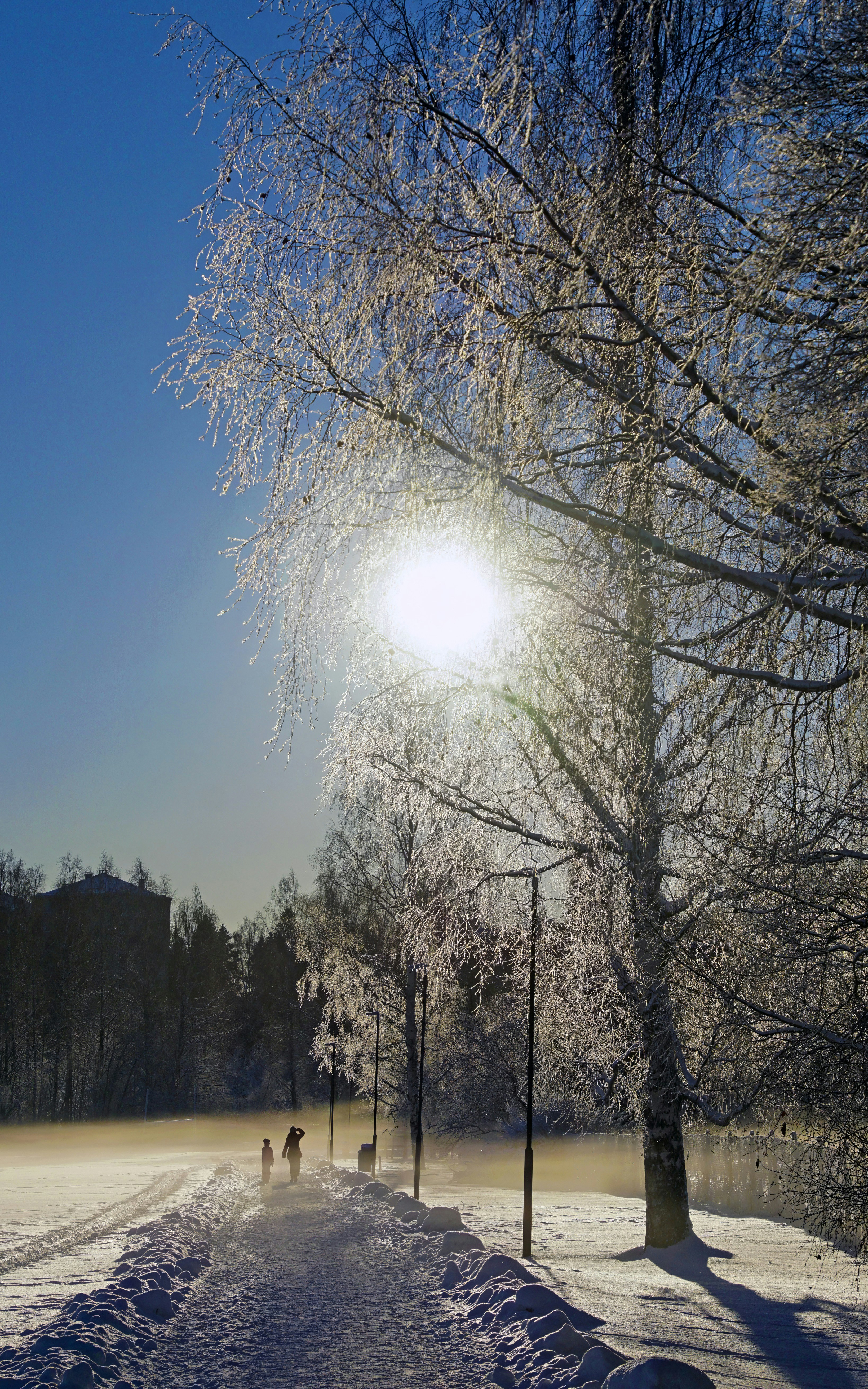 Photo by marttisalmi